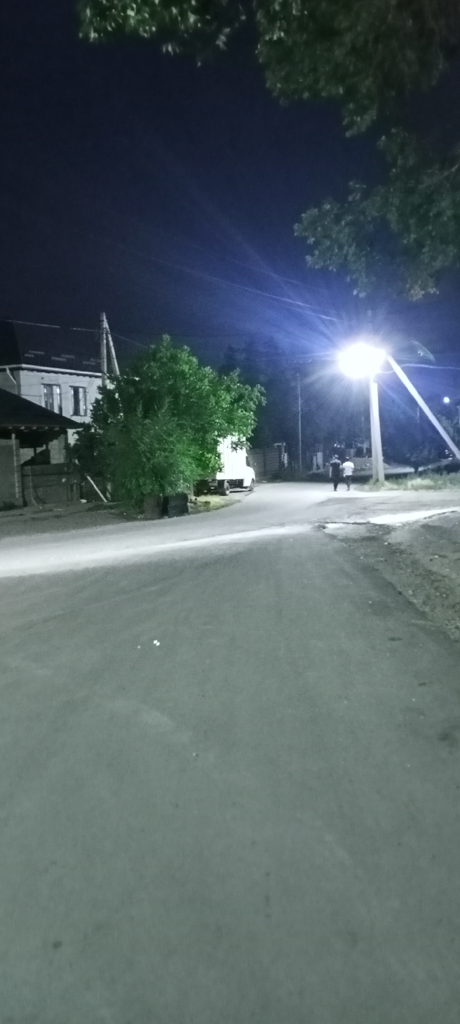 An asphalt road is illuminated by a bright street lamp at night. Two figures, appearing to be male, walk away from the camera towards the light. On the left side of the road, a residential building with visible windows and a dark roof is partially obscured by a large, leafy green tree. A white truck is parked near the building. The sky is dark blue, and trees can be seen against it, with some branches extending into the frame at the top. The scene appears to be in a suburban or rural area.