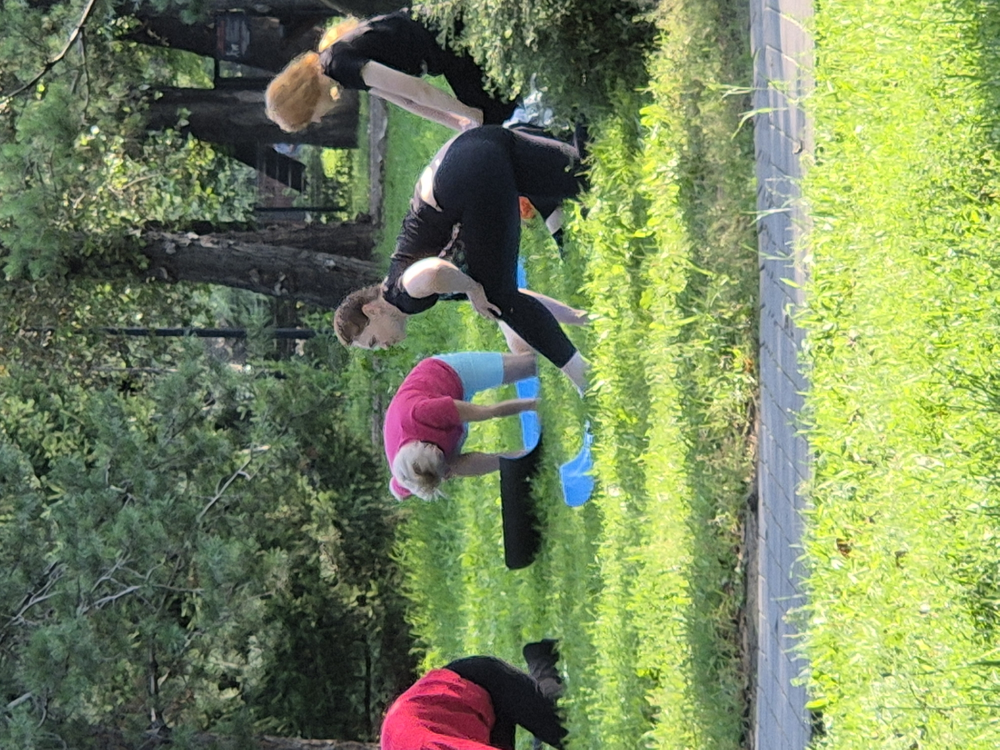 Four women are practicing yoga outdoors in a grassy park with trees in the background. The woman in the foreground on the right is wearing black leggings and a black t-shirt, with her left leg bent and forward, and her right leg extended back, in a low lunge pose. To her left, another woman in a pink t-shirt and light blue shorts is leaning forward with her hands on the ground and her head down, on a blue yoga mat. Further to the left, a woman in a red top and black leggings is kneeling. In the background, a woman with red hair is wearing a black t-shirt and black leggings, also in a yoga pose. The scene appears to be a yoga class in session.