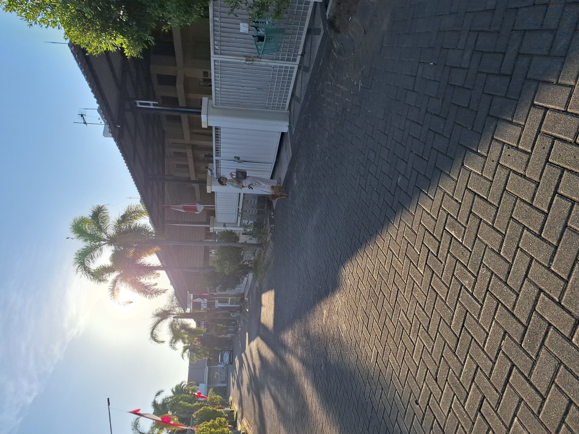 The image depicts a street scene in Surabaya, Indonesia, during what appears to be late afternoon or early morning due to the low angle of the sun and long shadows. The street is paved with interlocking dark grey bricks laid in a herringbone pattern. On the right side of the street, there is a building with a long, dark roof supported by exposed beams, and a white fence with vertical bars. A person, dressed in light-colored clothing and holding a beige bag, is standing near a gate, walking a small, light-brown dog on a leash. A green basket hangs from the fence. On the left side of the street, there are several palm trees and other foliage. Indonesian flags, red and white, are visible on flagpoles along the street. In the distance, a silver car is parked on the left side of the road. The sun is low in the sky, casting strong shadows across the street and illuminating the palm trees. The overall atmosphere is peaceful and residential.