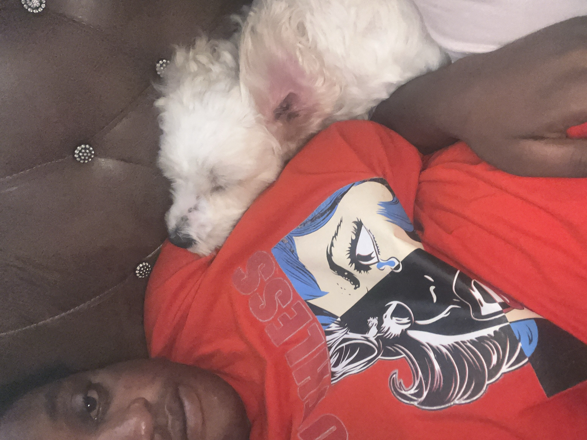 The image captures a close-up, high-angle view of a person and a white fluffy dog resting together on a brown, tufted couch. The couch features decorative sparkly buttons embedded in its upholstery.
The main subjects are a person and a small, white, fluffy dog, possibly a Bichon Frise or Maltese. The person, with dark skin, is seen from the chest up, lying down, with one eye partially visible and open, looking towards the camera. They are wearing a vibrant red long-sleeved shirt. The shirt has a distinct graphic print in a pop art style, featuring a woman's face with blue hair, an open eye with a tear rolling down her cheek, and part of another face with dark hair. Partial text, "SLESS," is visible on the red fabric, likely part of a larger word.
The dog is curled up and asleep, resting its head on the person's shoulder and upper chest. Its ear is visible, showing reddish-pink skin underneath its white fur.
The activity taking place is resting or cuddling, suggesting a moment of quiet relaxation. The scene is set indoors, likely in a living room or bedroom in Jos, Nigeria, given the provided context. The overall mood is one of comfort and intimacy between the person and their pet. No specific time of day is evident, but the relaxed posture of the subjects suggests a calm period.