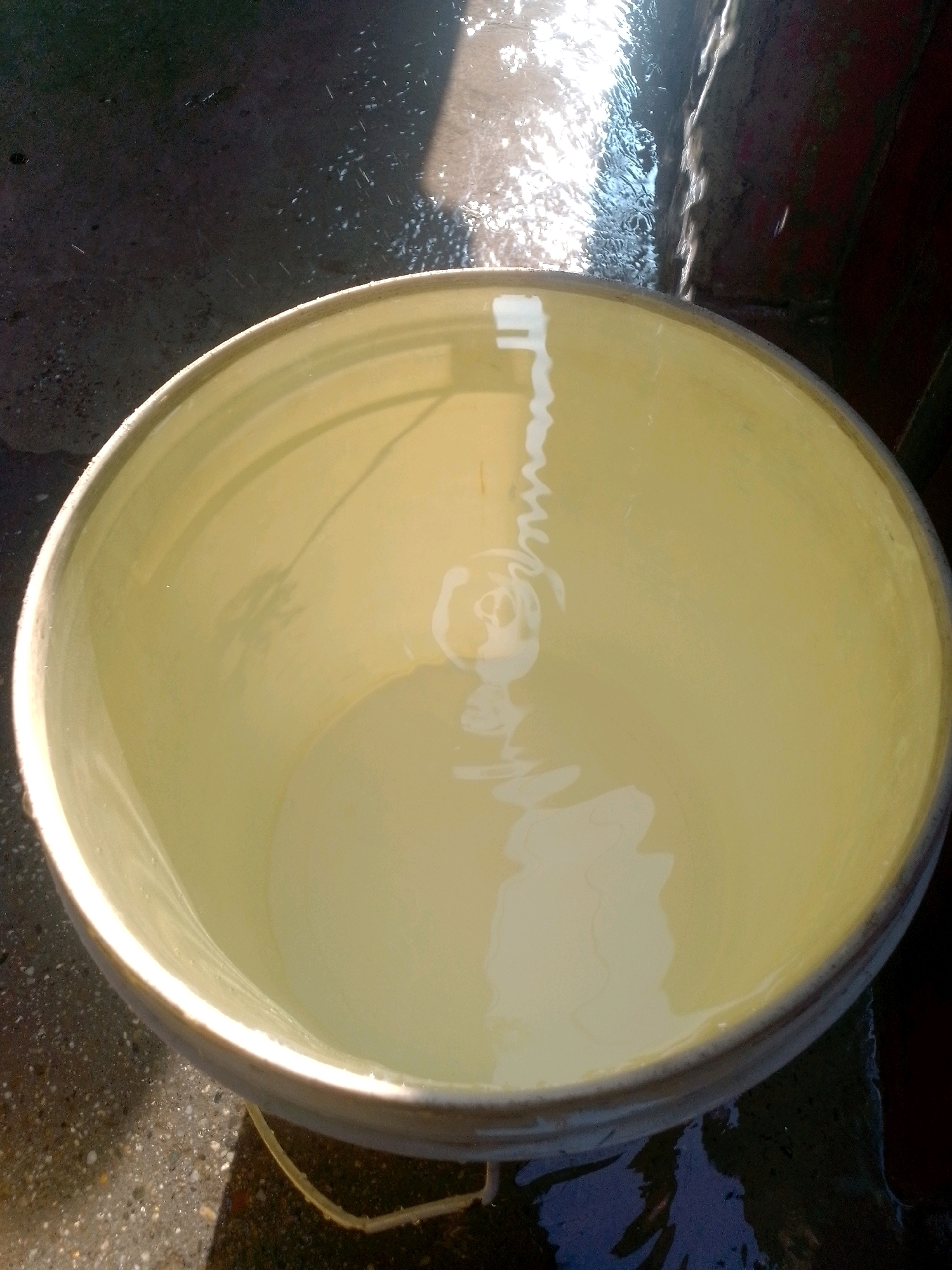 A light-yellow bucket, partially filled with water, is positioned outdoors on a dark, wet surface, possibly pavement. Sunlight reflects intensely off the water's surface, creating bright streaks and ripples. The bucket's rim is visible, and a faint shadow is cast on the ground to its left. The surrounding area appears to be an urban environment, with hints of brickwork or concrete structures and scattered droplets of water on the ground, suggesting recent rain or a water source nearby. The location is identified as Siliguri, India.