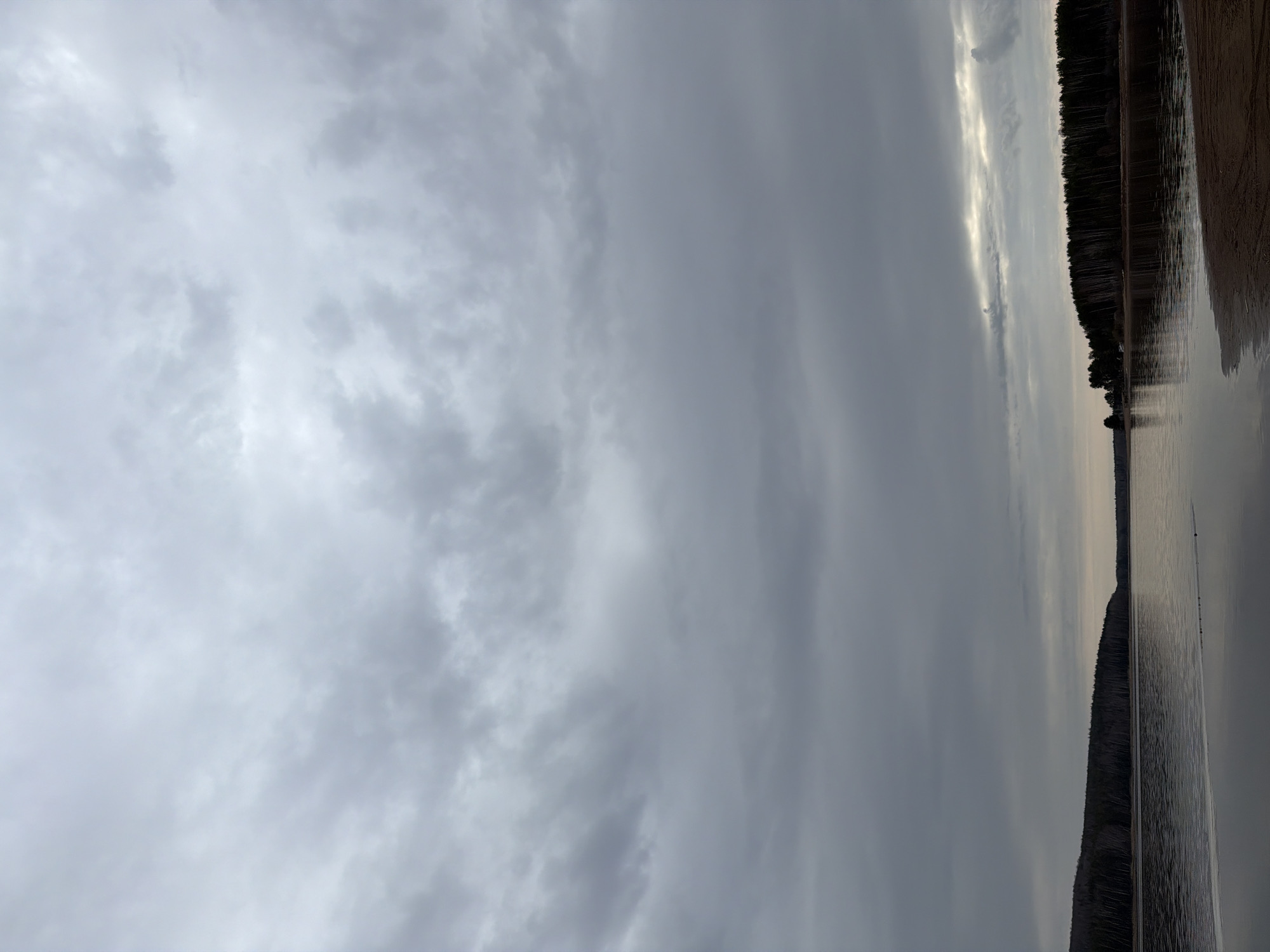 The image shows a landscape with a body of water, possibly a lake or wide river, under a cloudy sky. A dense forest line borders the water's edge. In the foreground, there's a strip of what looks like sandy or muddy shore. The sky is filled with grey clouds, creating a somber or overcast atmosphere. No people or signs of human activity are clearly visible. Given the location of Chaikovsky, Russia, the scene likely depicts a natural environment along the Kama River or one of the reservoirs or lakes in the region.