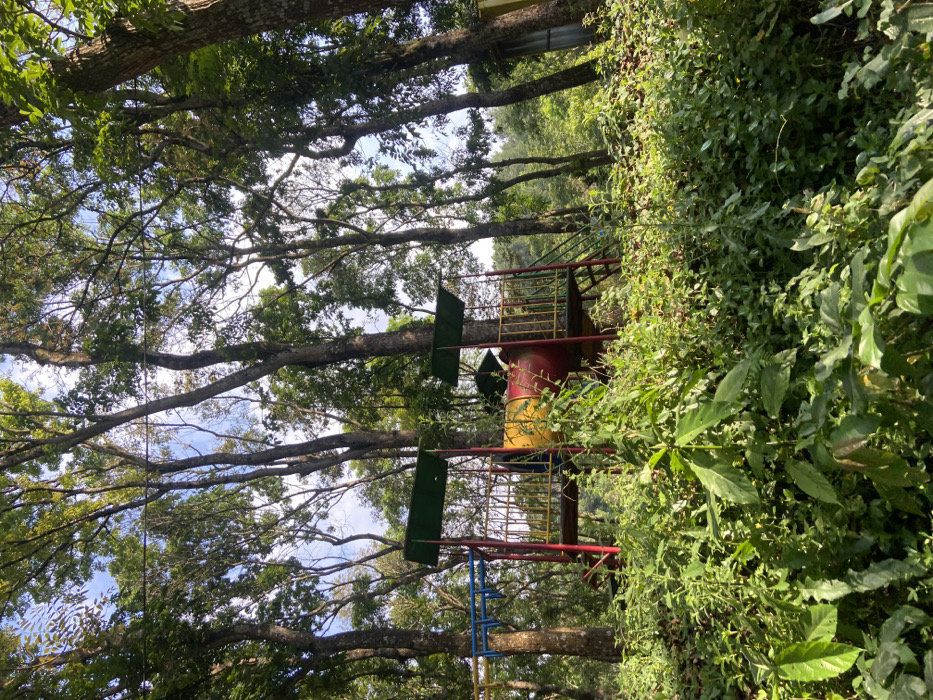 This image captures a children's playground situated in a heavily wooded area within the city of Belik, Indonesia. The scene is characterized by numerous tall trees with green foliage, their trunks rising vertically towards a bright, partially cloudy blue sky. In the midground, a multi-colored playground structure is visible, featuring a red base platform, yellow guardrails, and a prominent red and yellow barrel-shaped tunnel slide. Two green sloped canopies surmount parts of the platform. To the left, a blue monkey bar section is present. A set of steps or a ladder, likely red or brown, ascends to the platform on the right side. The foreground and the immediate vicinity of the playground are densely overgrown with various green plants, bushes, and undergrowth, partially obscuring the lower portions of the equipment and the ground. No individuals are present in the scene. The lighting suggests natural daylight conditions.