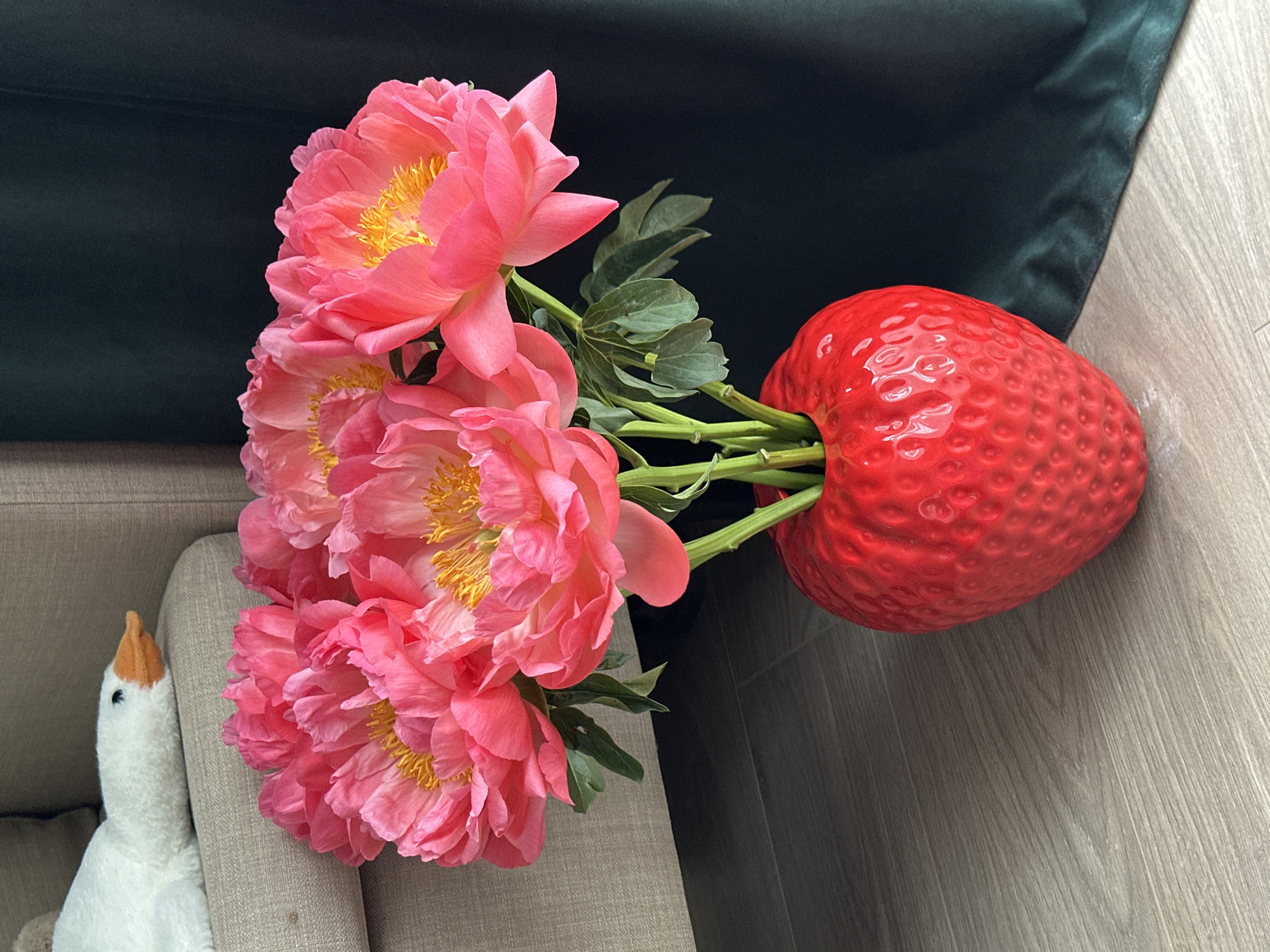 This vertical image captures a vibrant indoor still life centered around a bouquet of pink peonies. Several large, open peony blossoms, featuring bright coral-pink petals and prominent yellow stamens, are arranged in a unique, glossy red vase shaped like a large strawberry. The green stems and leaves of the peonies are visible, extending into the strawberry-shaped vase.
The setting includes various textured surfaces. To the left, a light beige upholstered furniture piece, possibly a sofa or armchair, occupies the lower left corner. Perched on this furniture is a white plush goose toy with a small orange beak, partially visible. In the upper right background, a dark green, possibly velvety, fabric provides a rich contrast. The area beneath the strawberry vase and extending to the right features a light grey wooden floor with distinct grain patterns.
The scene is well-lit with bright, natural-looking light, suggesting it was taken during the day. There is no discernible activity or event taking place, and no visible text. The location context for this image is Moscow, Russia.