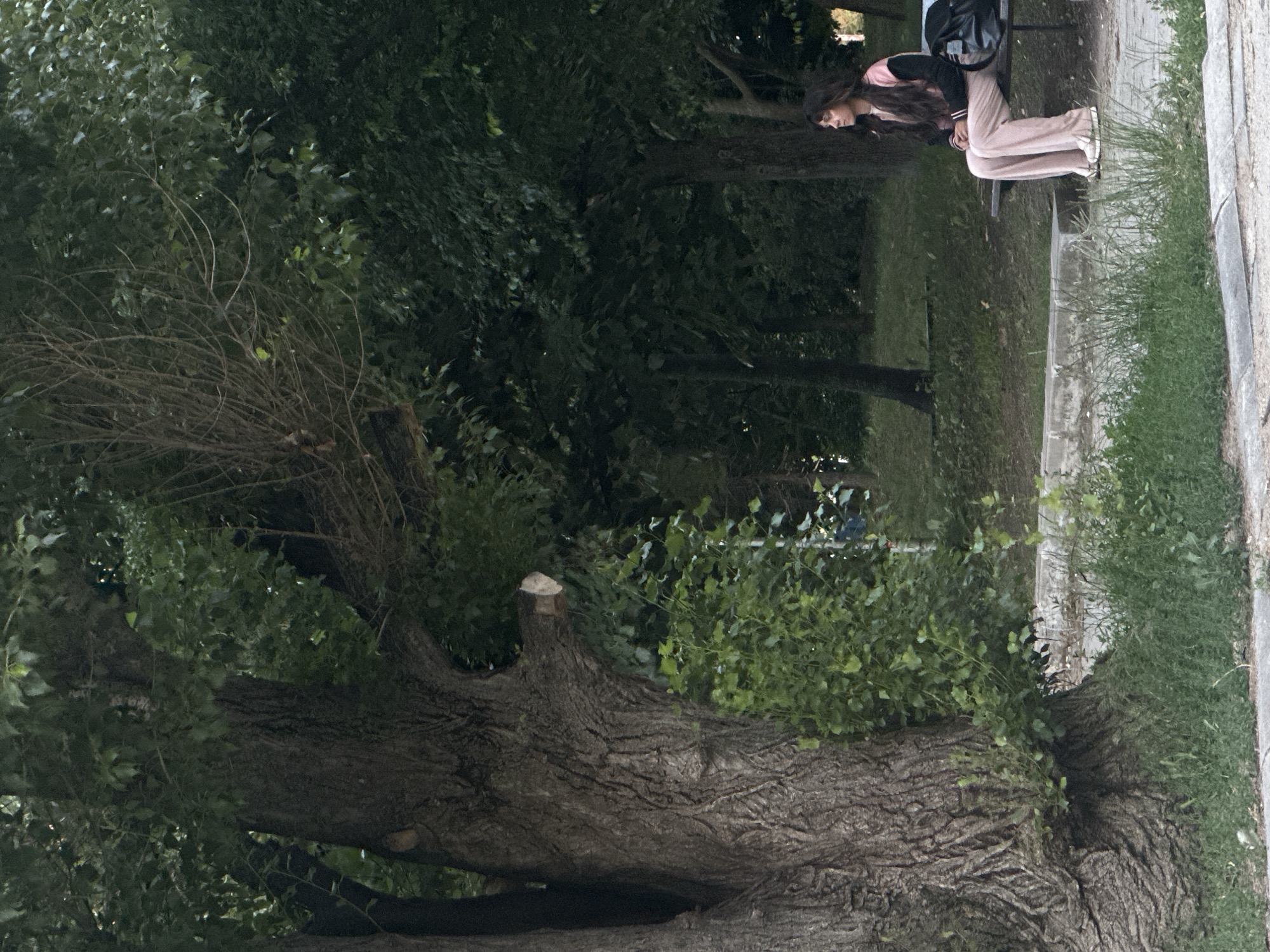 A young woman with long, dark hair is sitting on a park bench, looking to her right. She is wearing a pink and black jacket and pink pants. A black backpack is on the bench next to her. The woman is positioned in front of a large, old tree with thick, textured bark. Behind the tree, there is a grassy area with more trees and foliage. The scene appears to be in a park in Sofia, Bulgaria. The lighting suggests it is either early morning or late afternoon.
