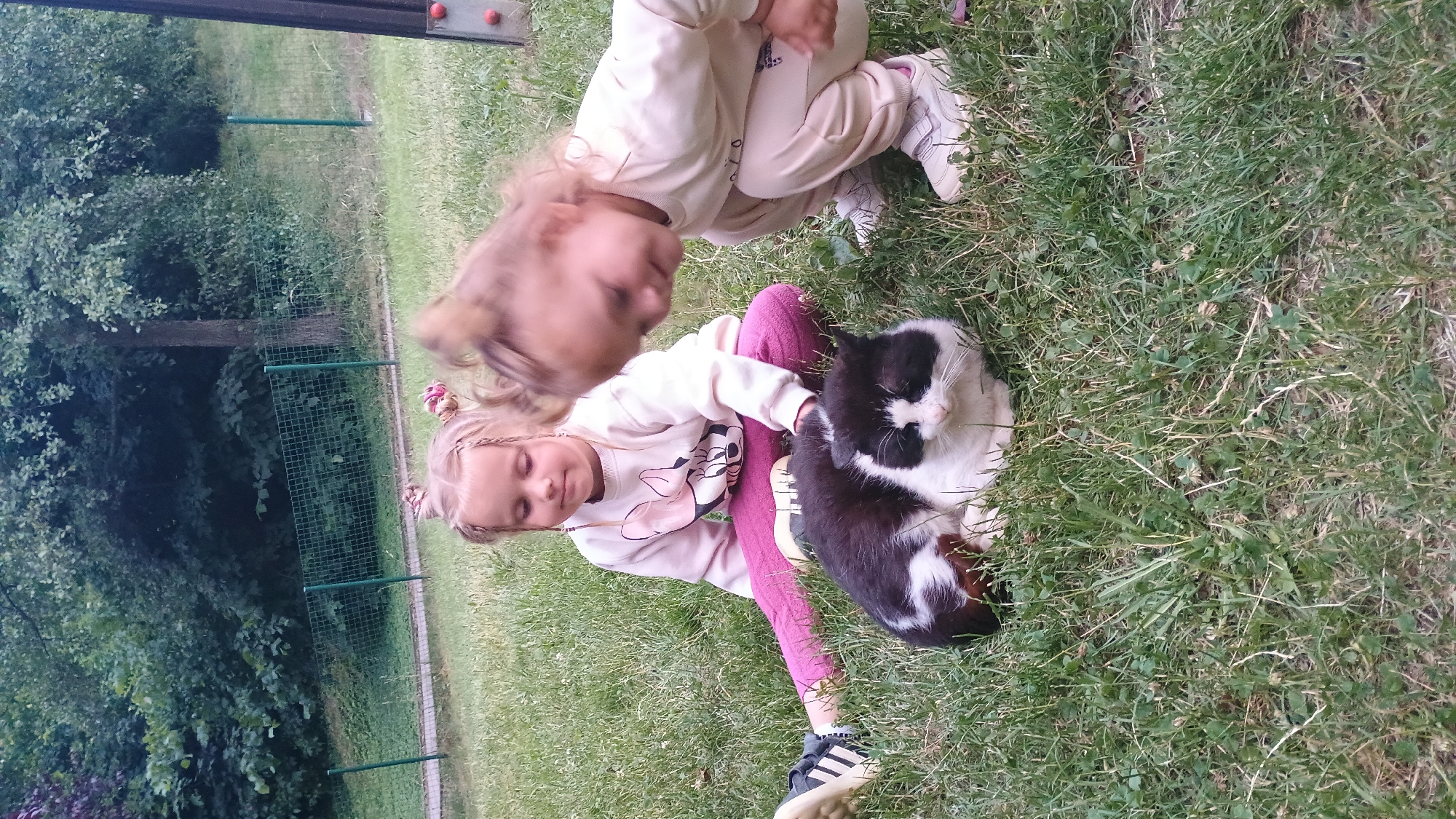 Two young girls, one sitting cross-legged and the other crouching, are interacting with a black and white cat on a grassy lawn. The girl on the left, wearing a light-colored sweatshirt with a Minnie Mouse graphic and pink leggings, has her hand near the cat. The girl on the right, in a light-colored tracksuit, is looking down at the cat. The cat is lying down on the grass, facing forward. The background shows trees and a fence, suggesting an outdoor setting, likely a park or backyard in Sokolov, Czechia.