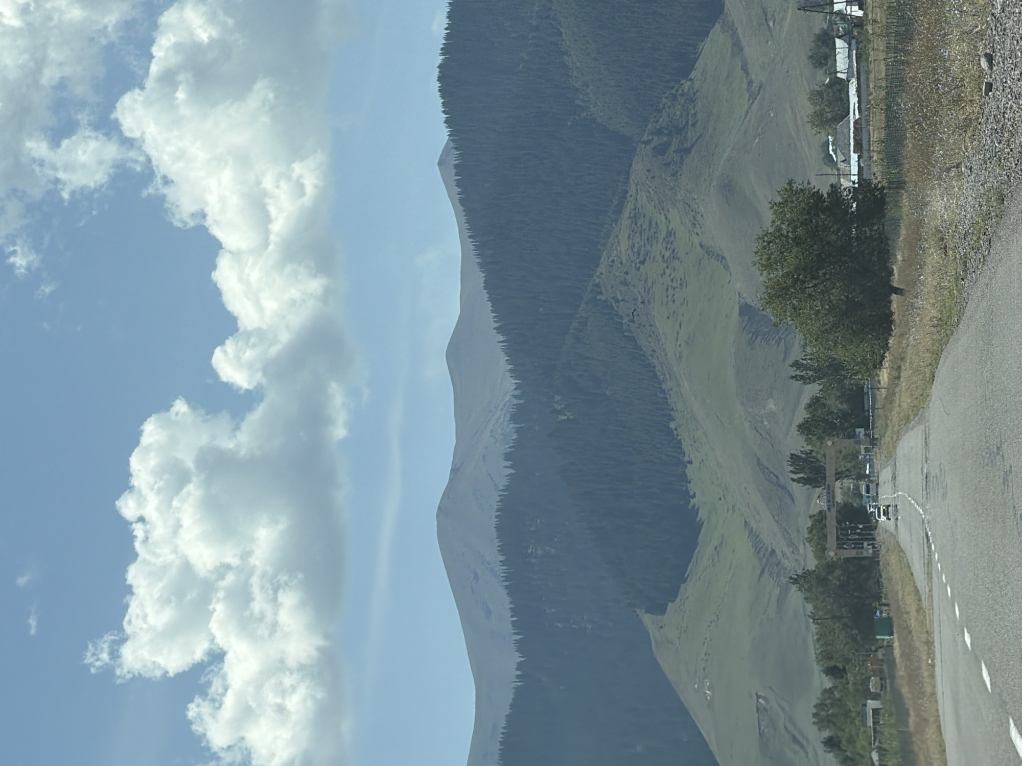 The image depicts a rural landscape with mountains in the background and a road in the foreground. The mountains are covered with dense evergreen trees, and the lower slopes are covered with green grass. The road is asphalt and has white markings. There are a few cars on the road, and a large archway is visible in the distance. Some buildings and trees are scattered along the sides of the road. The sky is blue with some white clouds. The scene appears to be a sunny day. This appears to be the outskirts of Jalagash, Kazakhstan, as the archway in the distance has text that reads "JALAGASH."