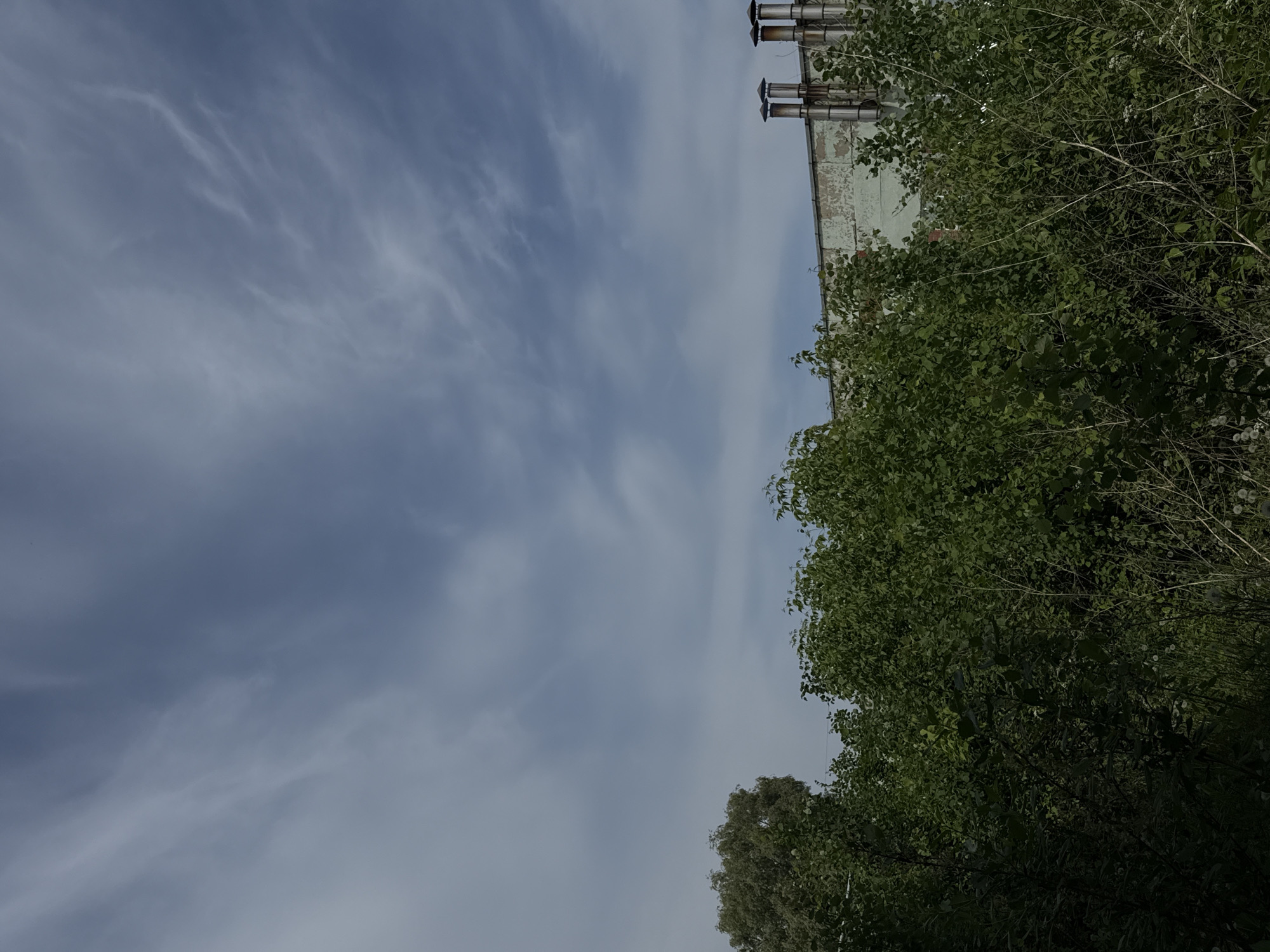 The image, taken in Chaikovsky, Russia, depicts a view looking upwards towards a building facade, greenery, and a cloudy sky. The facade appears aged with visible peeling paint and multiple metal chimney stacks extending from the roof. To the right of the building, abundant green foliage obscures part of the building. The sky occupies a significant portion of the frame, featuring diffused clouds. There is no visible human activity.