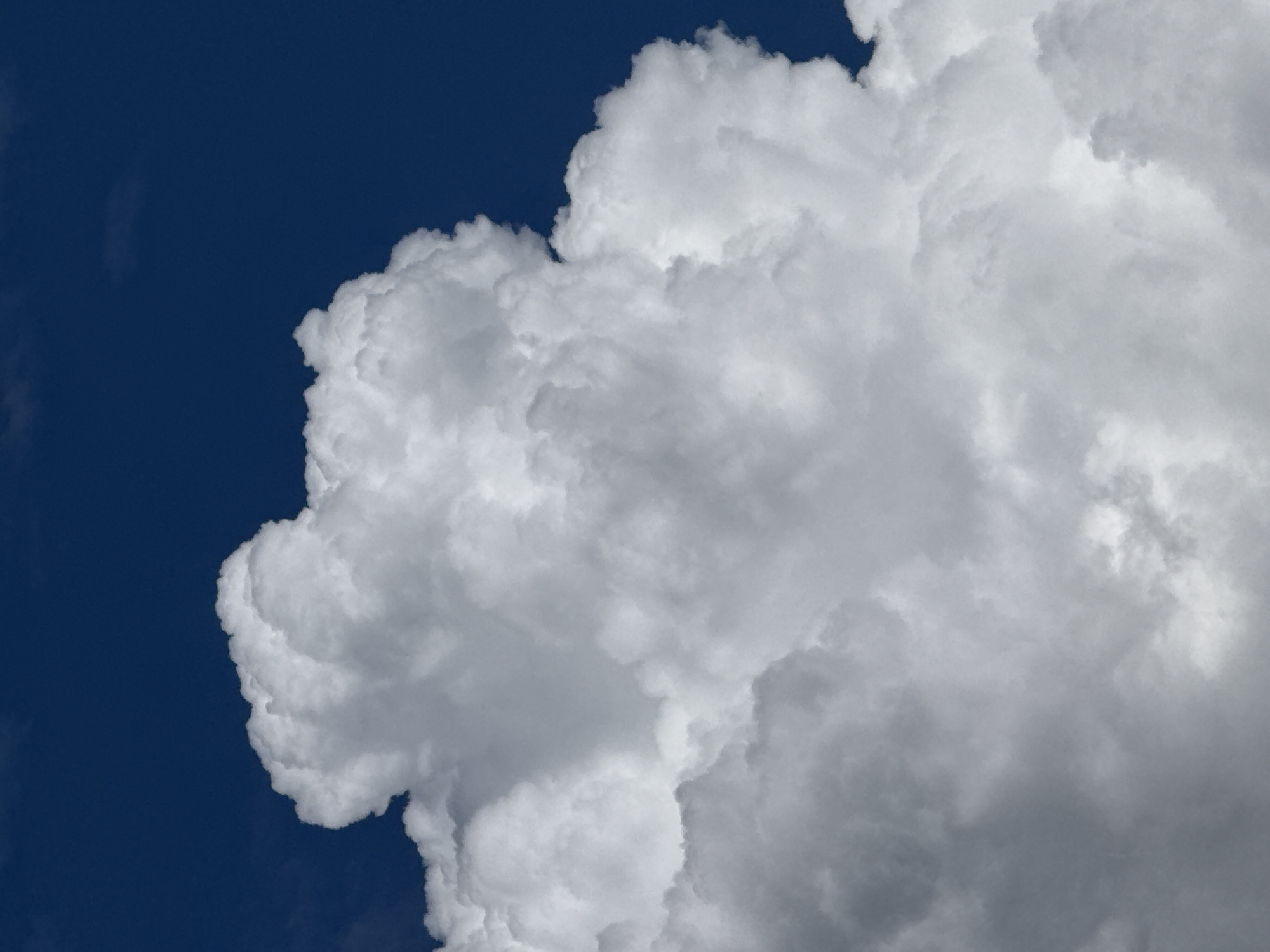 The media file displays a close-up view of a large, voluminous cloud formation against a deep blue sky. The cloud occupies the majority of the frame, spanning from the right side towards the left, with significant portions of its lower and upper sections also visible. The cloud exhibits a range of white and gray tones, indicating varying depths and densities. Bright white highlights on the upper and left edges suggest direct sunlight illuminating parts of the cloud, while deeper gray areas hint at shadowed or thicker sections.
On the left side of the image, and briefly peeking from the top left, a clear, dark blue sky is visible, contrasting sharply with the bright cloud edges. The cloud appears to be a cumulus-type formation, characterized by its puffy, lumpy, and cauliflower-like structure, with well-defined contours against the blue background. There is no discernible activity other than the natural presence of clouds in the sky. No people, man-made objects, or visible text are present in the image. The scene suggests a daytime setting, likely with fair weather given the clear blue sky patches, but with significant cloud development. The image focuses purely on the natural elements of sky and cloud, without providing explicit location cues beyond the provided context of Sofia, Bulgaria.