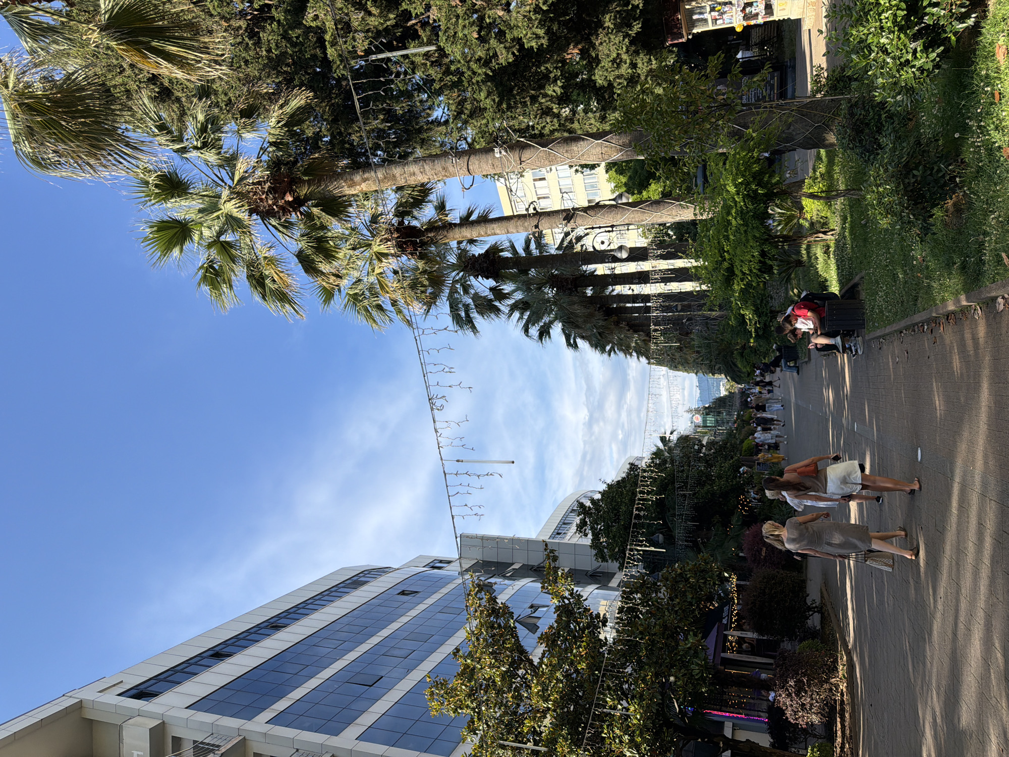 The image depicts a sun-drenched pedestrian street in Sochi, Russia, lined with palm trees and lush greenery. The street is paved with stone and is bustling with people. On the left, a modern multi-story building with large glass windows dominates the scene. Across the street, on the right, a park area features more palm trees, benches, and various shops. Several individuals are walking along the street, while others are seated on benches, engaged in conversation or using their phones. The atmosphere appears relaxed and vibrant, characteristic of a seaside resort town. The sky is clear blue with a few wispy clouds, and the sunlight casts long shadows, indicating it's likely late afternoon or early morning. Decorative string lights are hung across the street, suggesting a festive or evening ambiance.