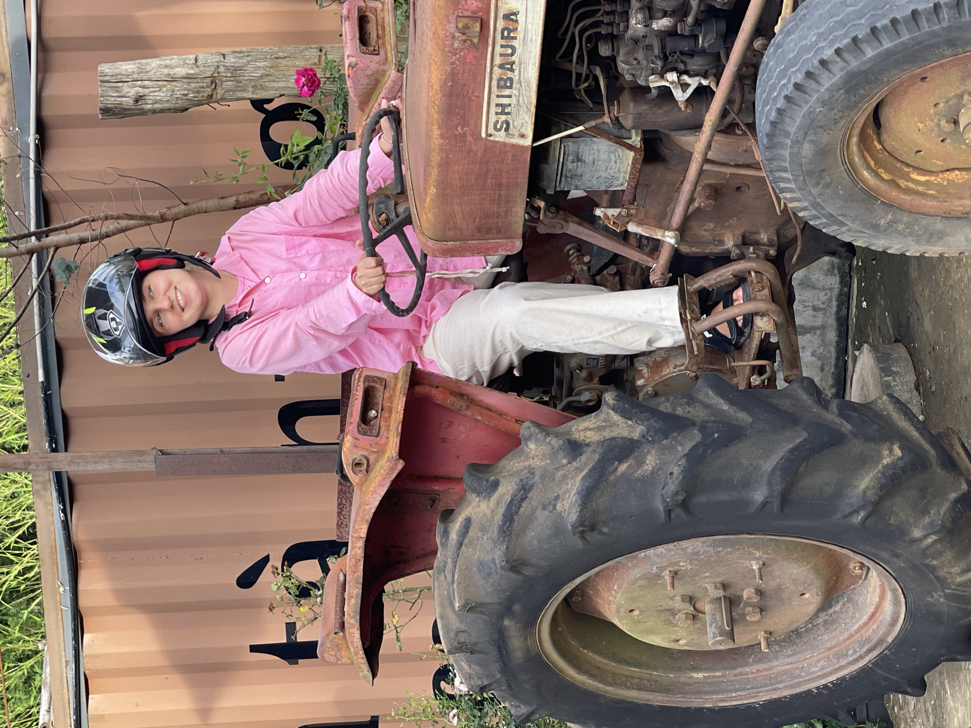 A medium shot shows a person wearing a motorcycle helmet and a pink long-sleeved shirt, seated on a rusty, red "Shibaura" brand tractor. The person, with a visible smile, is holding the steering wheel. They are also wearing white pants and black shoes.
The tractor appears old and weathered, showing signs of rust and disuse. Behind the tractor is a wall or container with black lettering, partially obscured by branches and flowers. The background includes greenery.
Based on the prompt, the location is Thôn 5, Vietnam.
