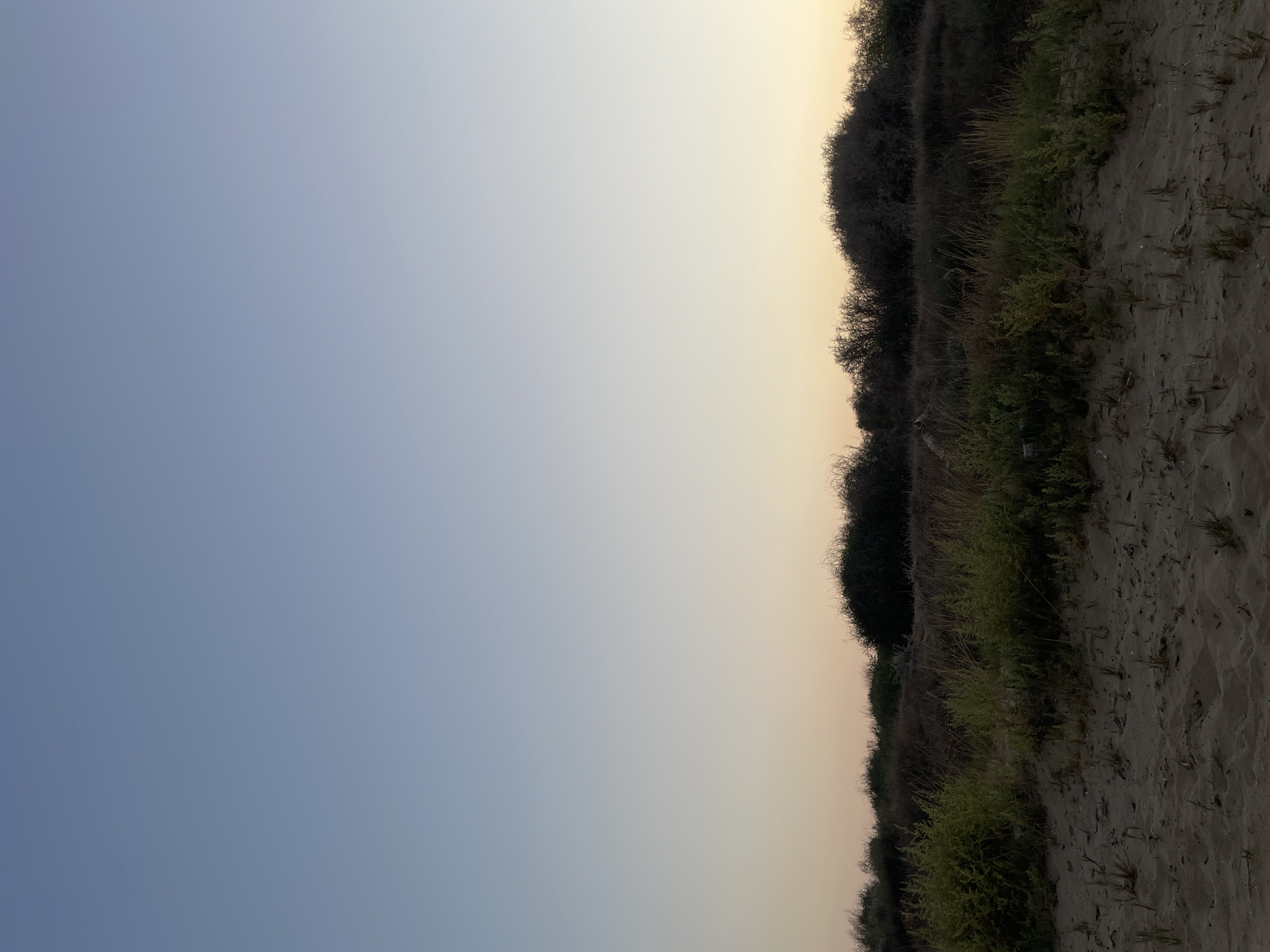 A sandy embankment with sparse vegetation in the foreground transitions to a line of dark, dense bushes and trees under a gradient sky of pale blue to soft yellow. The scene depicts a natural landscape, possibly a coastal area or a semi-arid terrain, at either dawn or dusk. The light is subdued, casting long shadows and creating a serene atmosphere. There are no people or man-made structures visible in the image. The location is identified as Spathariko, Northern Cyprus / Cyprus, suggesting a specific geographical context for this natural environment.
