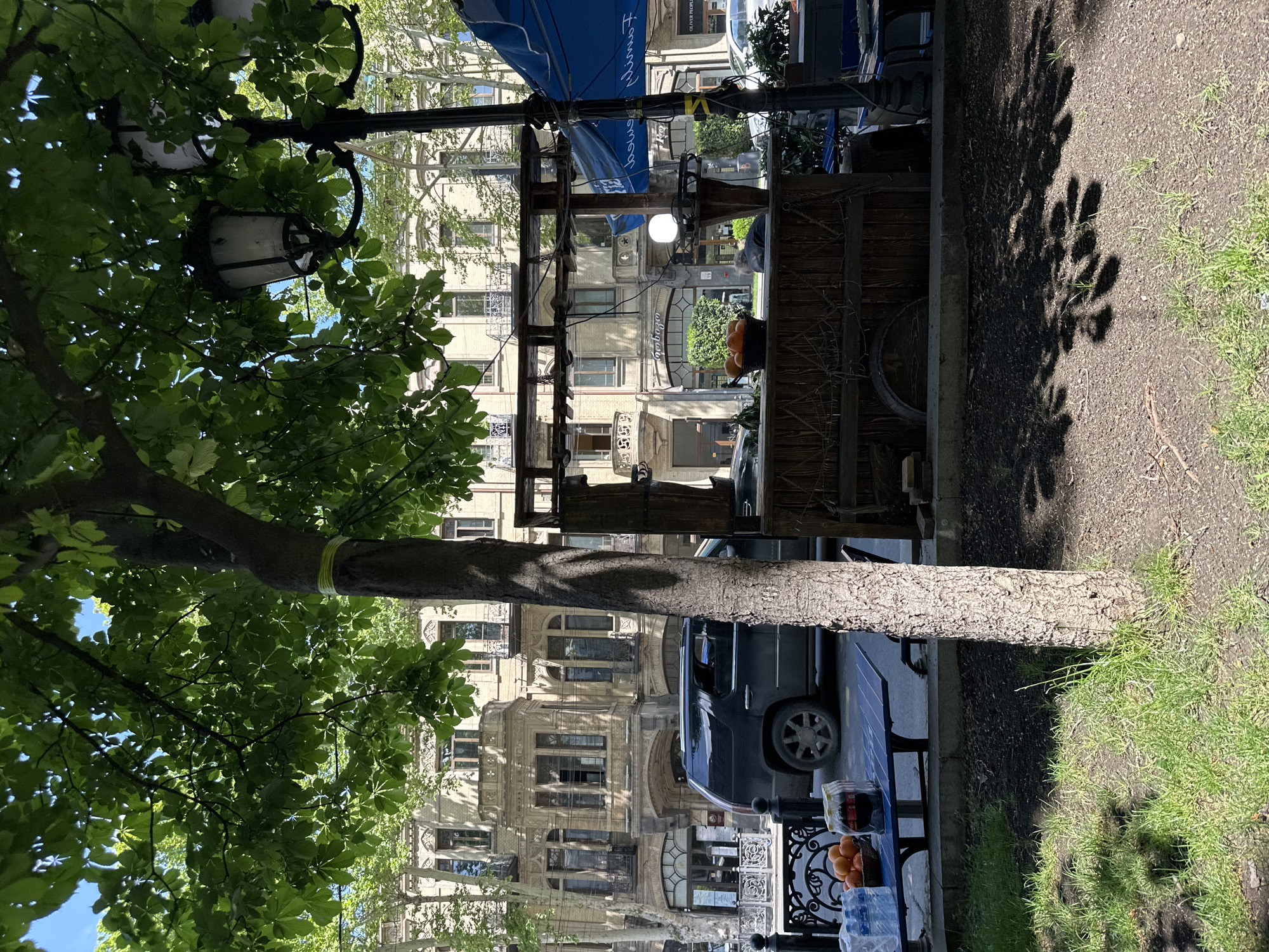 A street scene in Tbilisi, Georgia, shows a tree with dense green foliage dominating the left side of the frame. Behind the tree, a parked black SUV partially obscures a row of ornate, multi-story buildings with intricate architectural details. To the right of the tree, there is a wooden structure, possibly a vendor's stall, shaded by a blue canopy. A lamp post with decorative lamps is visible through the leaves of the tree. In the foreground, there is a table set up with a white wrought-iron base, holding oranges in a container and water bottles. The ground transitions from a dirt path to grass on the right, with dappled shadows cast by the trees.
