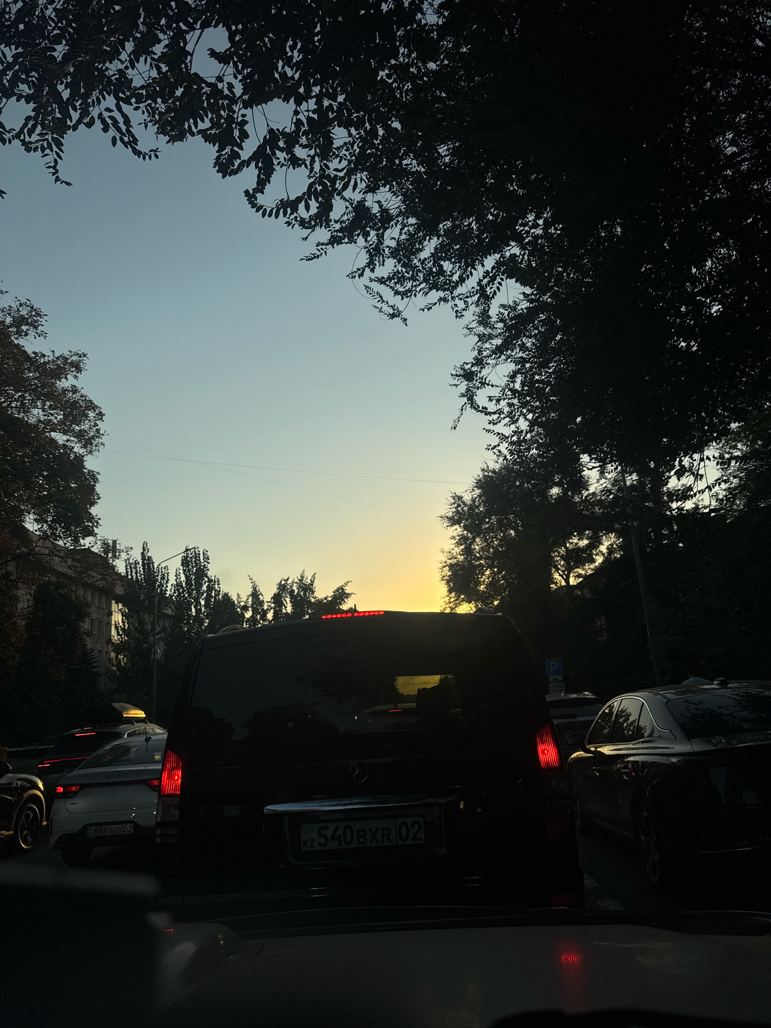 A view from inside a vehicle in traffic on a city street in Almaty, Kazakhstan during sunset. The sky is a pale blue transitioning to yellow near the horizon. Silhouetted trees with dense foliage line the street, their branches partially obscuring the sky. Several vehicles are visible, including a black minivan in the foreground with its taillights illuminated, a white sedan with illuminated taillights to the left, and a dark sedan on the right. License plates are visible on the minivan and the white sedan. Buildings and streetlights are also present. The overall impression is a traffic jam in an urban environment at dusk.