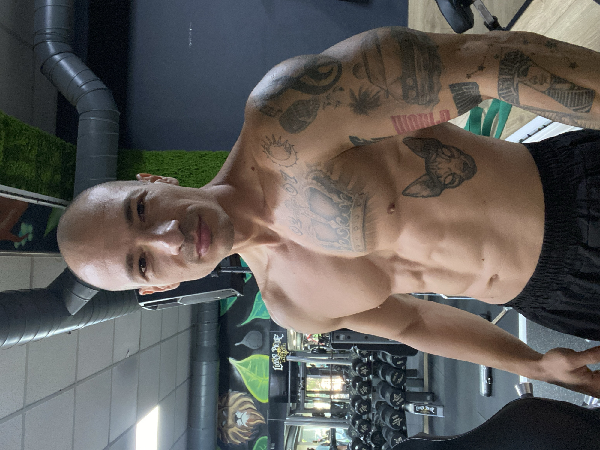 The image shows a bald, muscular man with tattoos on his chest and arm, posing in a gym. He is wearing black shorts. In the background, there are rows of dumbbells, gym equipment, and a mural on the wall featuring a lion and green foliage. The environment appears to be a fitness center. The man's pose and physique suggest he is engaged in or has just completed a workout. The image is taken from a medium close-up, focusing on the man's upper body. The location is not discernable from the image itself and cannot be determined to be in Pleven, Bulgaria.