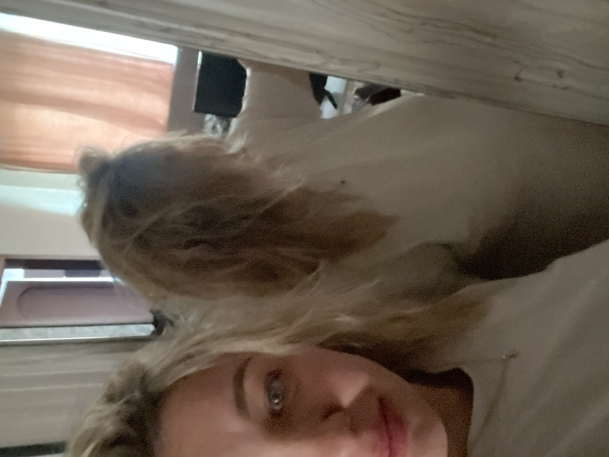 The image shows a selfie taken by a fair-skinned person with blonde hair. The person's face is close to the camera, and their eye is visible. Behind the person is a fluffy, blonde-haired dog, partially obscured by white bedding. In the background, a window with blinds can be seen, along with what appears to be a television or monitor mounted on a wall. The scene appears to be indoors, possibly in a bedroom. There's no information in the image to identify its location as Chaikovsky, Russia.
