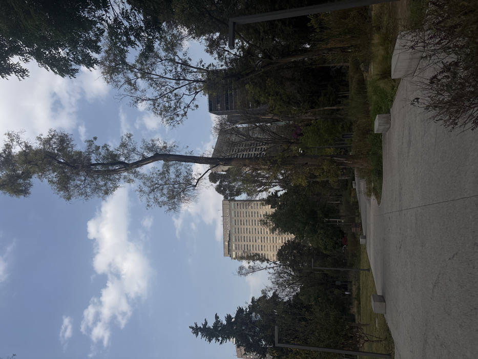 A sidewalk curves through a park, flanked by trees and vegetation. A large hotel building, labeled "Intercontinental," is visible through the trees. The sky is blue with scattered clouds. The scene is bathed in daylight. A skeletal structure is also present in the frame.