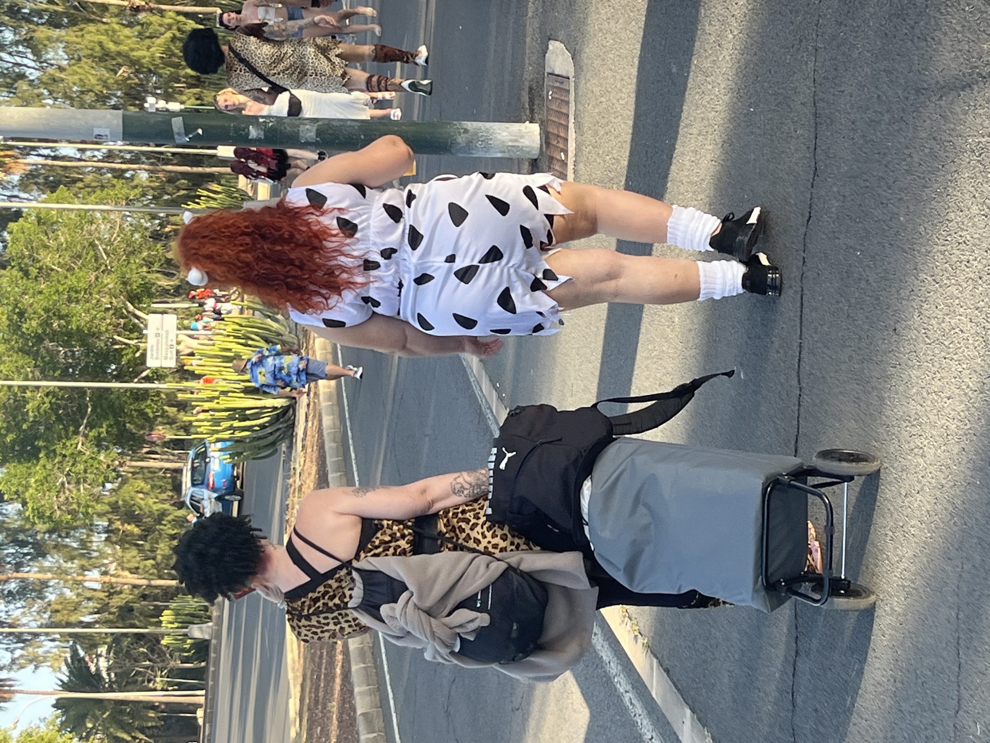 In San Bartolomé de Tirajana, Spain, an outdoor scene shows two women and a group of people dressed in costumes on a road. One woman has red curly hair and a white dress with black spots, resembling a cow costume. She is wearing white socks and black shoes. Another woman in the foreground is wearing a leopard-print top. She has dark hair, and her arm has a tattoo. She is pulling a shopping cart with a black and grey bag on it. In the background, there are several individuals in various costumes walking along the roadside. Trees, cactus plants, and a blue car are also visible. The setting appears to be a sunny day.