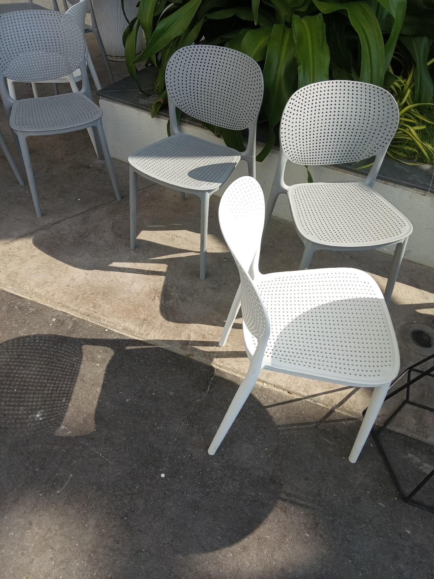 The image shows four perforated plastic chairs, three gray and one white, arranged on a concrete surface. Some chairs are in sunlight, casting strong shadows on the ground. A green leafy plant is behind the gray chairs. The setting appears to be outdoors, possibly a patio or seating area. The location is in Bắc Nha Trang, Vietnam.