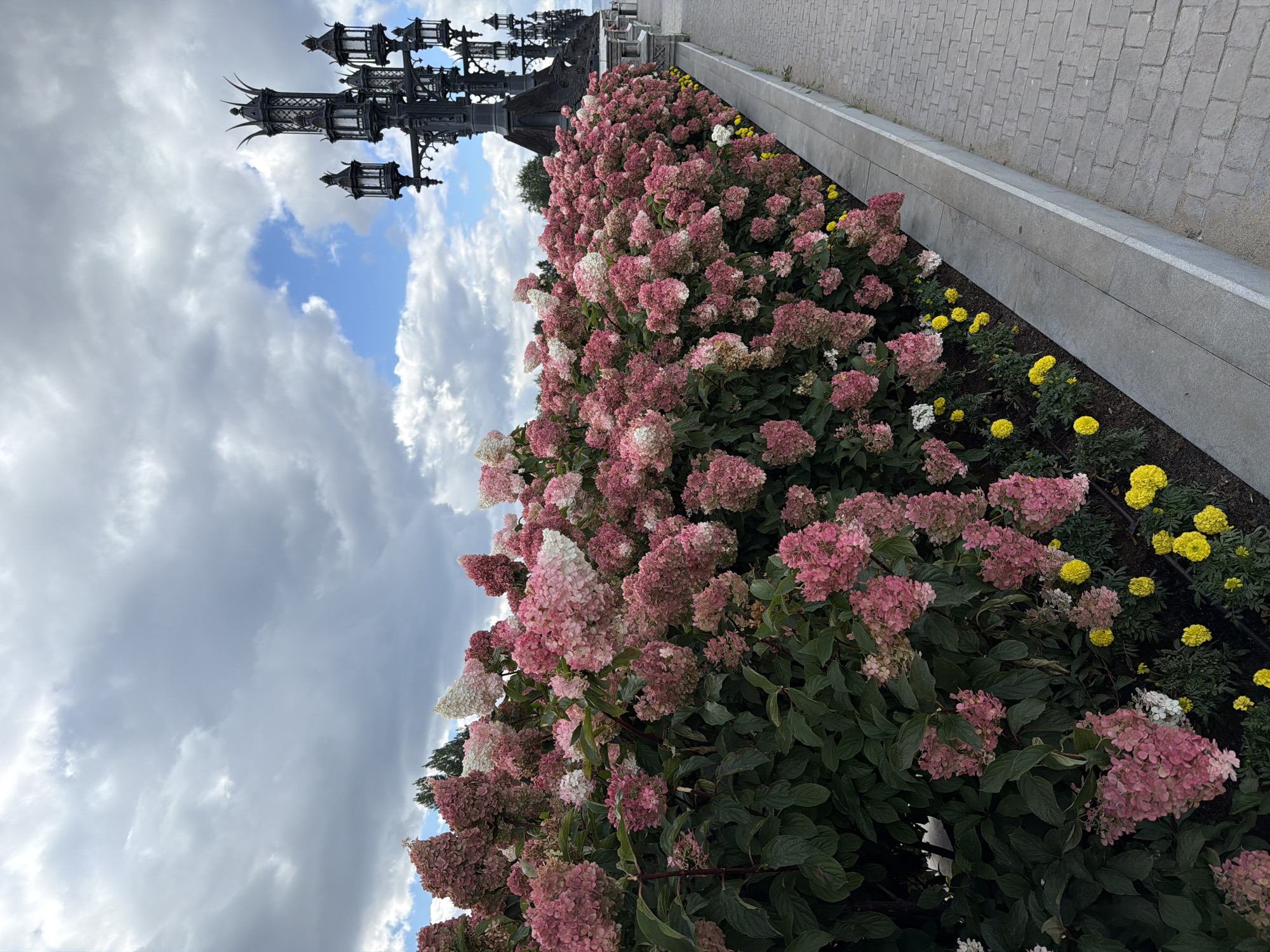The image captures a scenic pathway lined with blooming hydrangeas and marigolds. A large, ornate lamppost stands to the right, its dark metal contrasting with the vibrant floral display. The pathway is paved with cobblestones, suggesting an urban or park setting. Overhead, a dramatic sky with fluffy white clouds and patches of blue adds to the picturesque scene. The flowers, in various shades of pink, white, and yellow, are dense and lush, creating a visually appealing border. The overall impression is one of a well-maintained public space, possibly a promenade or park in the city of Khryashchevka, Russia, given the context provided. There are no people or animals visible in the image.