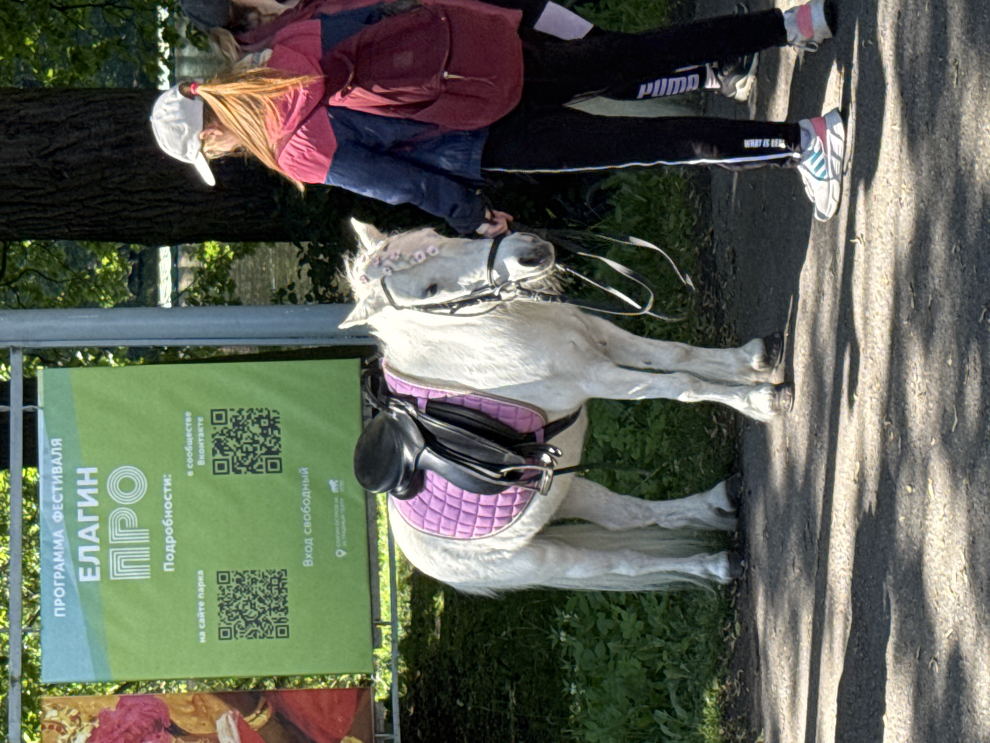 The image shows a white pony with a pink saddle and a black saddle in an outdoor setting. A person wearing a red and blue jacket, black pants, and a white baseball cap stands beside the pony, holding its bridle. The pony has flowers on its head. Behind the pony and the person is a green sign with Russian text and QR codes. The sign reads "PROGRAM OF THE FESTIVAL ELAGIN PRO" and "Details: on the park website, in the VKontakte community". The text also says "Free admission". The background consists of trees and greenery, suggesting a park environment. The location is implied to be Elagin Island Park in Saint Petersburg, Russia, as indicated by the text on the sign.