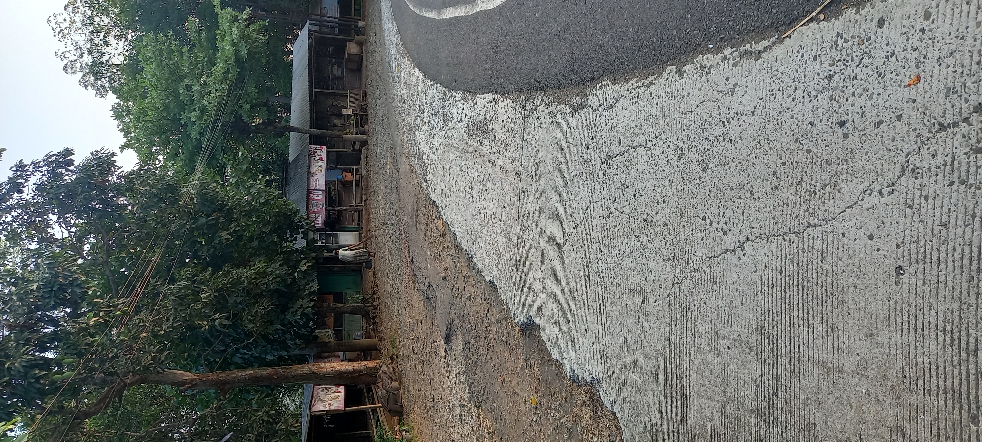 The image depicts an outdoor scene in Adimulya, Indonesia, featuring a paved road and a dirt area with several small structures. In the foreground, a concrete path with parallel grooves runs diagonally from the lower left to the middle right of the frame. The path is cracked and weathered. Adjacent to the concrete path is a rougher, dirt and gravel area.
Along the dirt area, a row of low-lying structures with corrugated metal roofs are visible. These appear to be shops or market stalls. Some of the structures have open fronts with shelves and displays. One stall has colorful signage and what looks like food items or products for sale. Another stall shows a green doorway. In front of these structures, there is loose gravel and some debris.
A person, wearing a light-colored, long-sleeved garment and a skirt, is seen in the middle ground, sweeping the gravel area in front of one of the stalls with a broom. The person is facing away from the camera. Behind the stalls, a dense canopy of green trees forms the background, with some of the trees extending over the structures. The sky is visible in the upper portion of the image, appearing clear and bright. The overall impression is of a rural or semi-rural roadside market area.