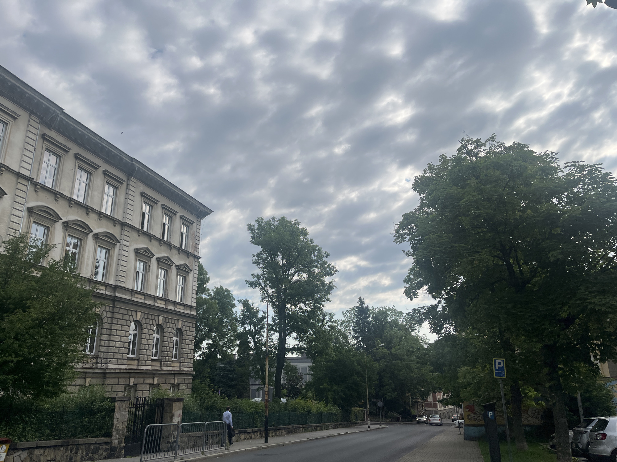 The image depicts a street scene in a city. On the left is a multi-story building with a classical facade, characterized by rows of windows and decorative architectural elements. A person in a light blue shirt and dark pants is walking on the sidewalk in front of the building, carrying a dark bag. The street is paved, and there are trees lining the right side of the road. The sky is overcast with clouds. Several cars are visible on the street, and there is a parking sign. The environment appears to be urban, with a mix of architecture and nature.