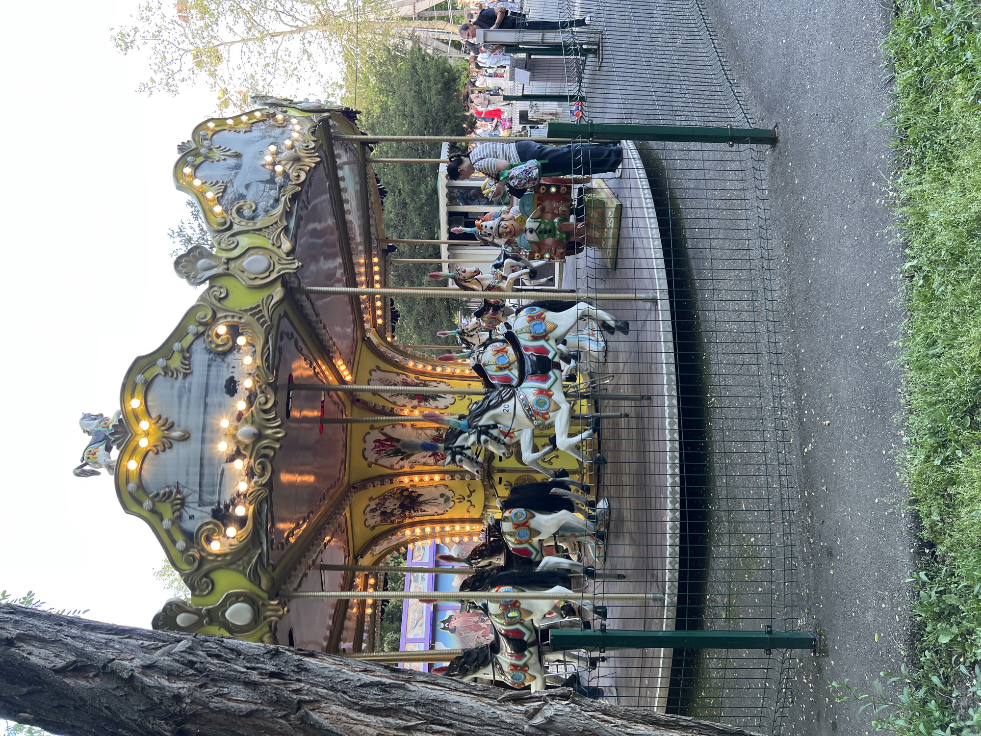 The image shows a carousel in a park, likely in Krasnodar, Russia based on the prompt. The carousel has horses and other animal figures, with decorative paint and lights. A wire fence surrounds the carousel. People stand near the carousel, seemingly waiting or observing. A paved path is adjacent to the carousel area, bordered by grass and trees. A tree trunk is visible in the foreground. The overall lighting suggests it's late afternoon or early evening.