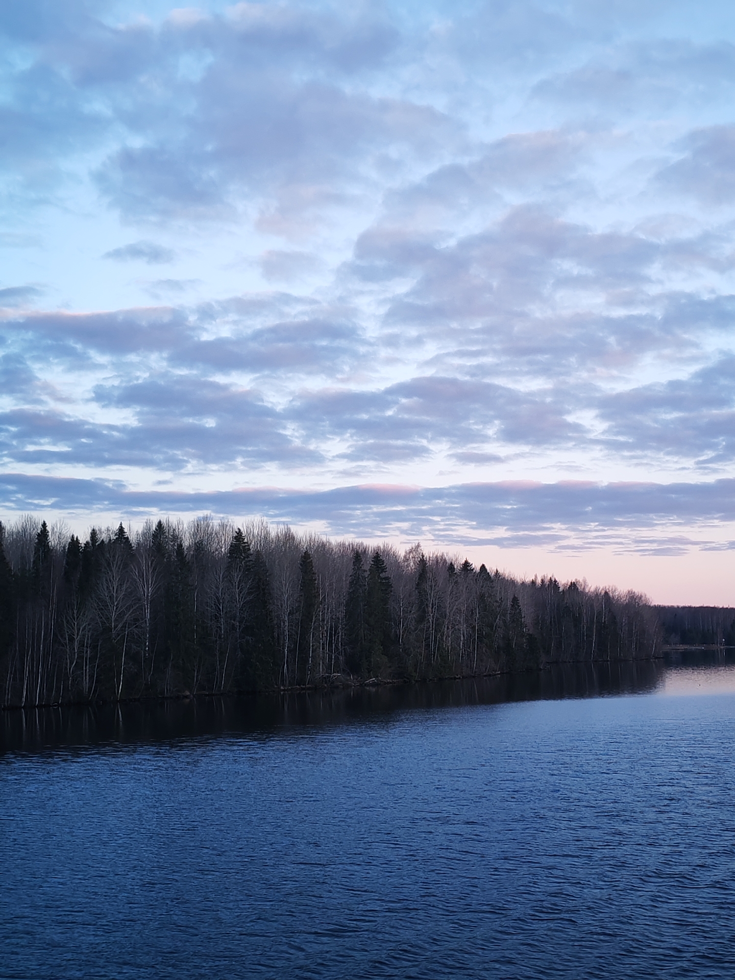 This landscape image captures a serene view of a natural environment, likely at dawn or dusk, in Turtsevo, Russia. The scene is divided horizontally into three main elements: a body of water in the foreground, a dense forest on the far bank, and a cloudy sky above.
The lower half of the photograph features a calm, dark blue body of water, possibly a lake or a wide river, with subtle ripples on its surface. The water reflects the dim light and the dark shapes of the trees. A thick band of forest stretches across the mid-ground, forming a clear horizon line. This forest appears to be a mix of coniferous trees (dark green/black) and numerous bare-branched deciduous trees, which stand out as lighter, slender vertical lines against the darker evergreens. The bare trees suggest a season other than summer, perhaps late autumn or early spring.
The upper portion of the image is filled with a cloudy sky. The clouds are scattered, appearing in various shades of light blue, soft grey, and with delicate hints of pink and purple, especially closer to the horizon and on the undersides of the cloud formations. The diffused light and pastel colors in the sky are strong indicators of either early morning or late evening. The overall atmosphere is peaceful and tranquil. No people, animals, man-made structures, or visible text are present in the image.