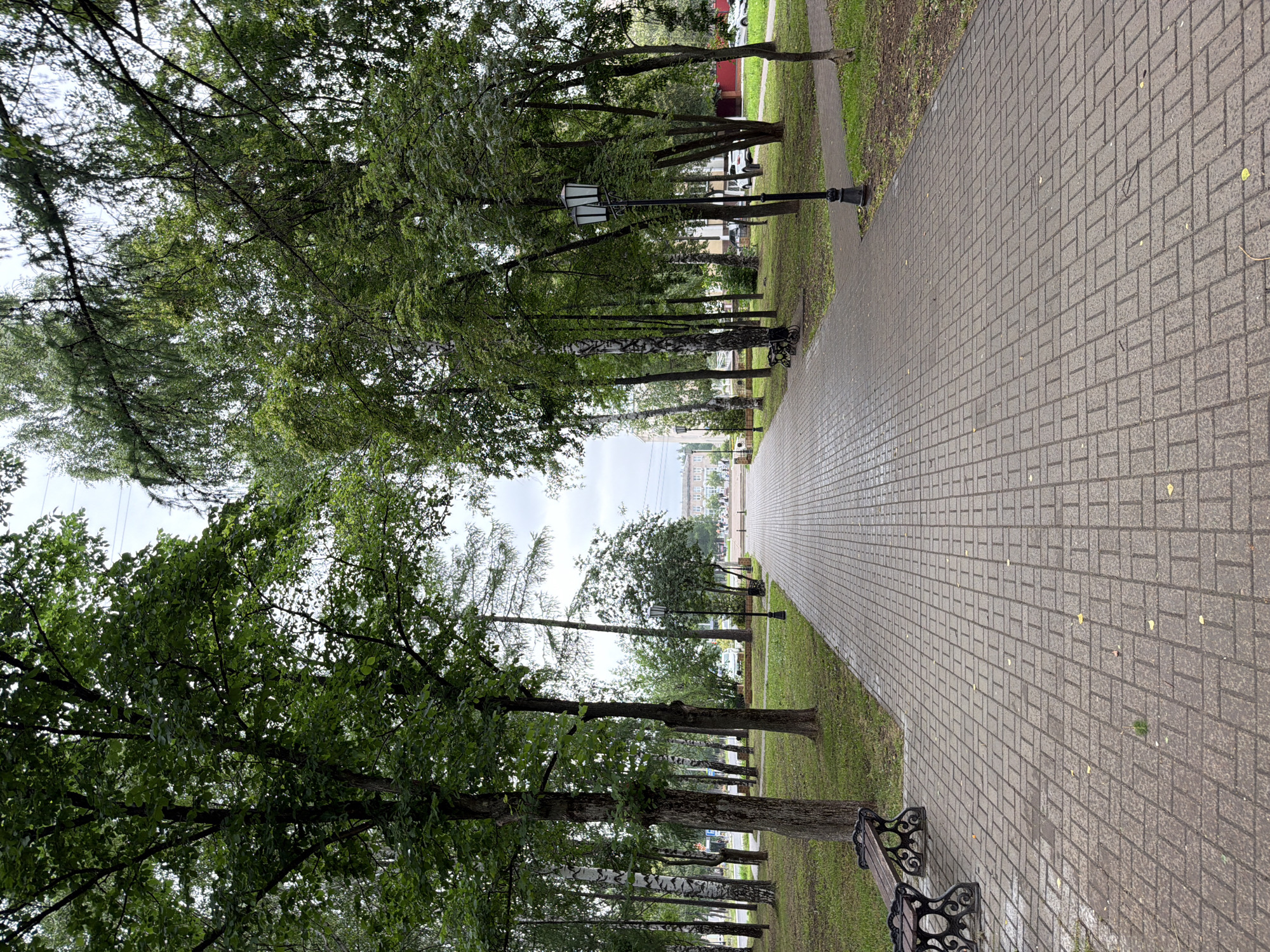 This media file captures a perspective view of a park pathway in Chaikovsky, Russia. The path, paved with light grey rectangular bricks, curves gently to the right, leading the viewer's eye into the distance. Lush green grass flanks the pathway on the left, interspersed with mature trees that cast shadows across the scene. Several park benches with ornate black metal frames are visible along the path, suggesting a place for rest and contemplation.
Streetlights with a classic design stand tall along the pathway, hinting at the possibility of evening illumination. The trees themselves are varied, with some displaying smooth, pale bark, possibly birch trees, while others have rougher, darker trunks. The canopy of these trees creates a dappled light effect, filtering the overcast sky.
In the background, glimpses of buildings and vehicles can be seen, indicating that this park is situated in a populated area, likely a city or town. The overall mood of the image is serene and peaceful, suggesting a quiet day in the park. The overcast sky implies a cool or perhaps damp day, with no harsh sunlight present. There is no visible text in the media file. The perspective shot emphasizes the linear nature of the park path and the surrounding greenery.
