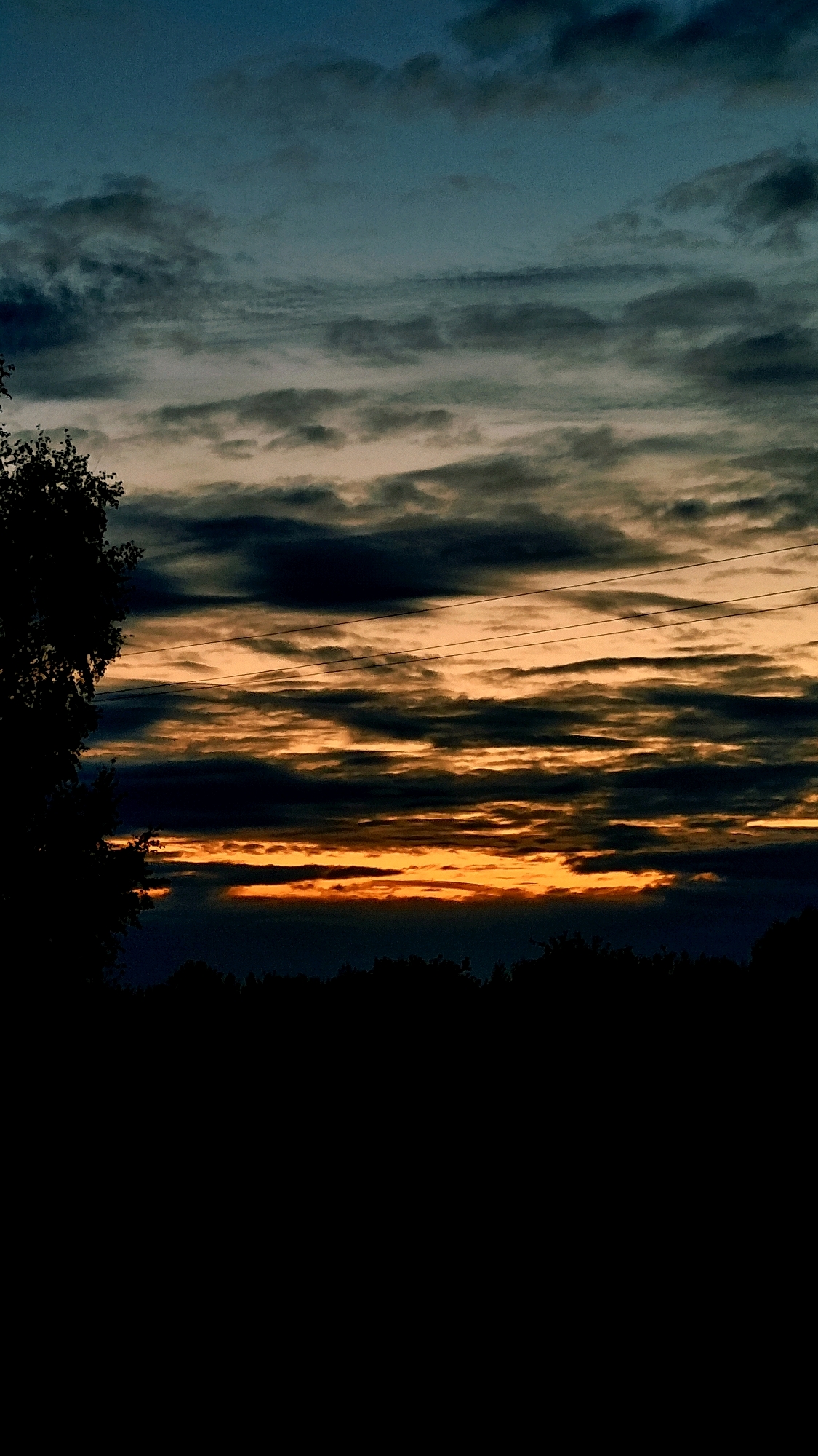 A low-angle, vertical shot captures a dramatic twilight sky above a silhouetted landscape. The sky is filled with horizontally striated clouds, transitioning from a deep blue at the top to a bright orange and yellow band near the horizon, indicative of a sunset. Three thin, dark power lines stretch horizontally across the middle section of the sky. In the foreground, the dark silhouette of a tree with sparse leaves is visible on the left, and a dense line of trees forms a dark band across the bottom of the frame. The scene appears to be set in an open, rural area, possibly on the outskirts of Vysokoe, Russia, given the context. There are no people or animals present in the image.