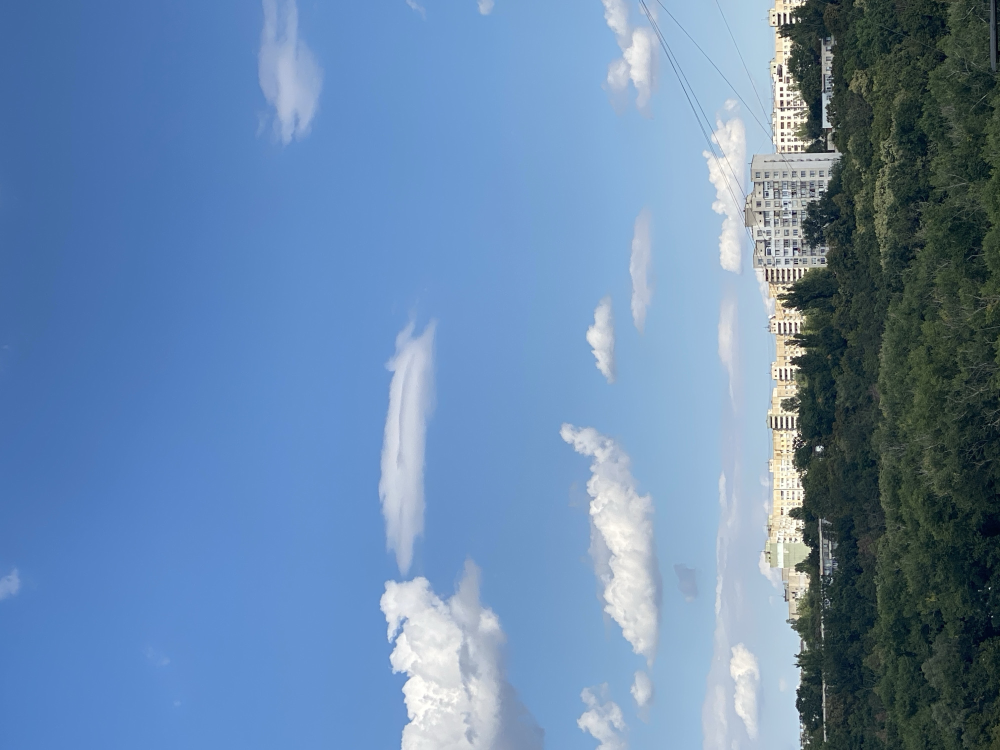 The image shows a clear blue sky with scattered white cumulus clouds, typical of a bright, sunny day. Below the sky, a dense canopy of green trees forms a lush foreground. Rising above the trees, a line of multi-story apartment buildings stretches across the horizon. The architecture of the buildings suggests a Soviet-era or post-Soviet urban landscape. The scene is likely a residential area on the outskirts of Chișinău, Moldova, where areas of dense forest are often interspersed with high-rise apartment blocks. There are no people or animals visible in the image. Power lines are visible in the upper right portion of the frame, crisscrossing the sky.