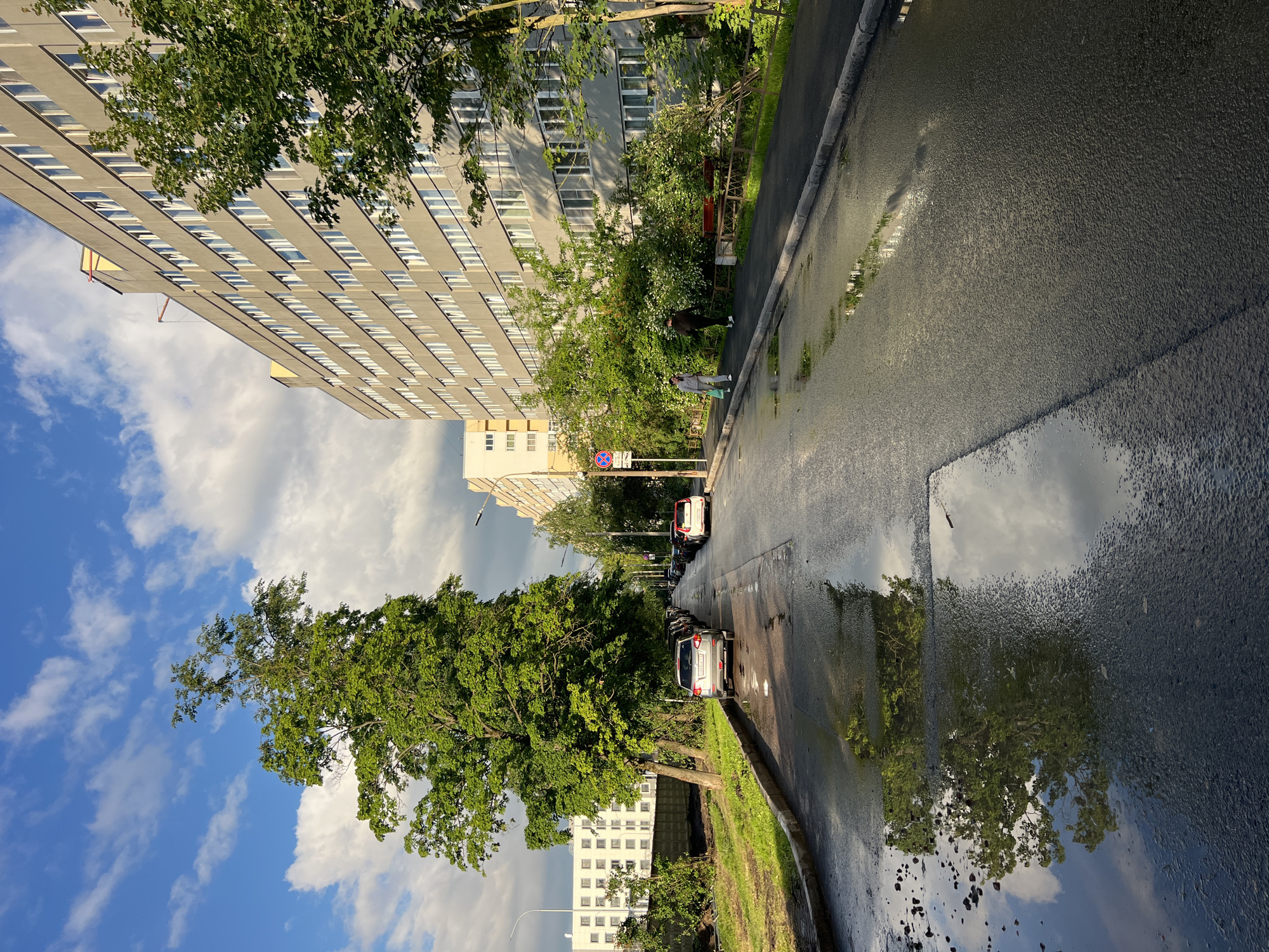 In this full outdoor shot taken on an overcast day, a street scene unfolds. The road, wet from recent rain, features several parked cars, some with their headlights on. Puddles of water reflect the sky and surrounding trees, with one particularly large puddle in the foreground mirroring a large deciduous tree and the clouds above. The street is lined with a sidewalk and a row of apartment buildings, their windows reflecting the light. A few people are visible walking along the sidewalk. Lush green trees and bushes line the street, with one tall tree dominating the left side of the frame. The sky is a mix of blue with white, fluffy clouds.