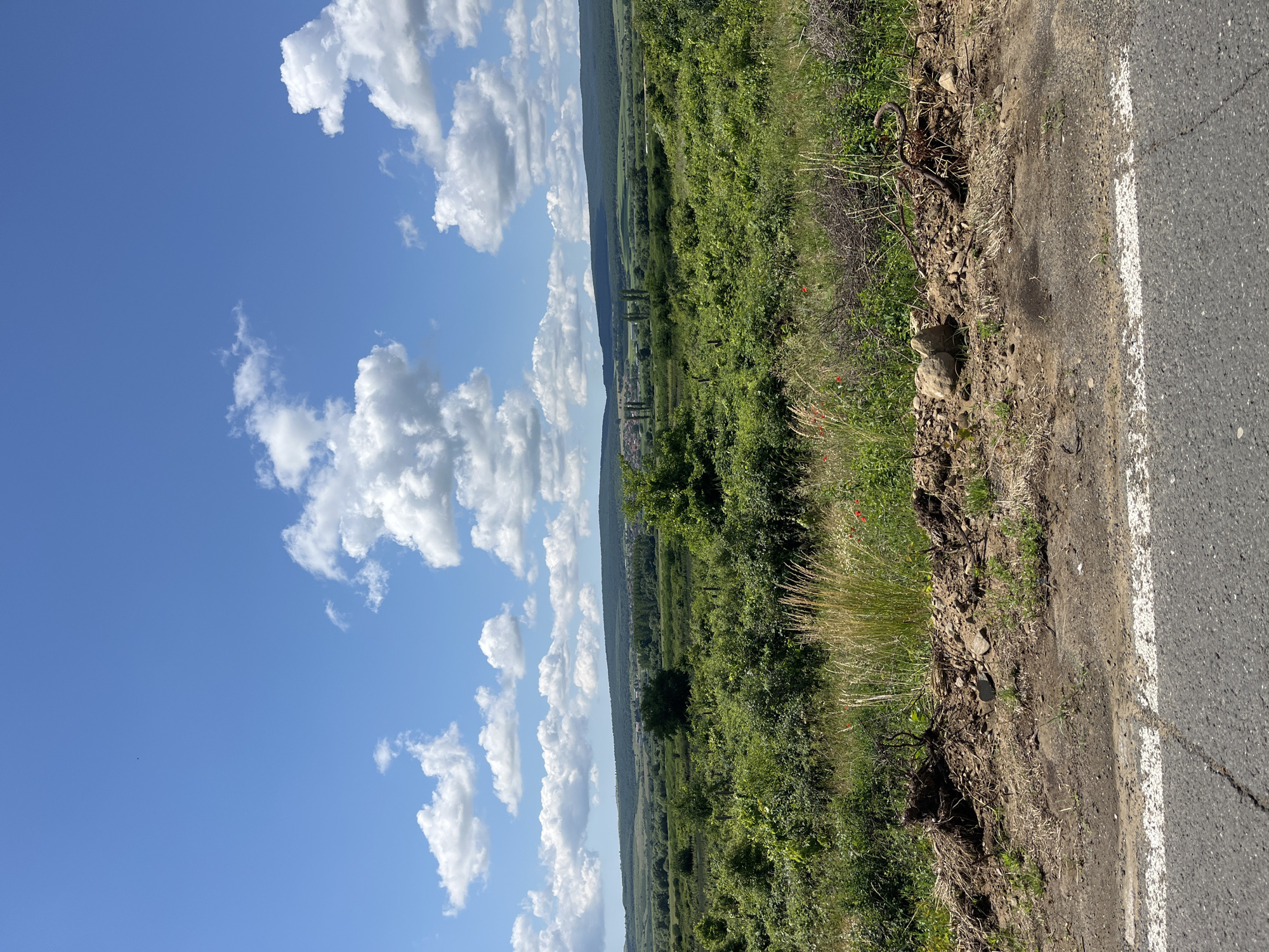 The image depicts a rural landscape with rolling green hills under a bright blue sky dotted with fluffy white clouds. The foreground features a dry, rocky embankment with scattered dry grass and debris, bordering a cracked asphalt road with a white line. In the mid-ground, dense green vegetation, including bushes and trees, covers the terrain. A small cluster of buildings, possibly a village, is visible in the distance, nestled among the hills. Tall, dark green trees stand out against the lighter green of the landscape. The scene appears to be a scenic overlook in the vicinity of Prosenik, Bulgaria.