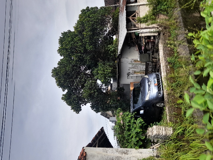 A sideways shot reveals a gray car parked near a dilapidated house. The house features a mix of weathered wooden and white painted walls, with a cluttered space visible under its partially collapsed roof. Lush green vegetation covers an adjacent stone wall and encroaches around the car. A large tree dominates the scene, while power lines run along the top left. A second house, with a red-tiled roof, sits partially visible at the bottom. The sky is overcast.