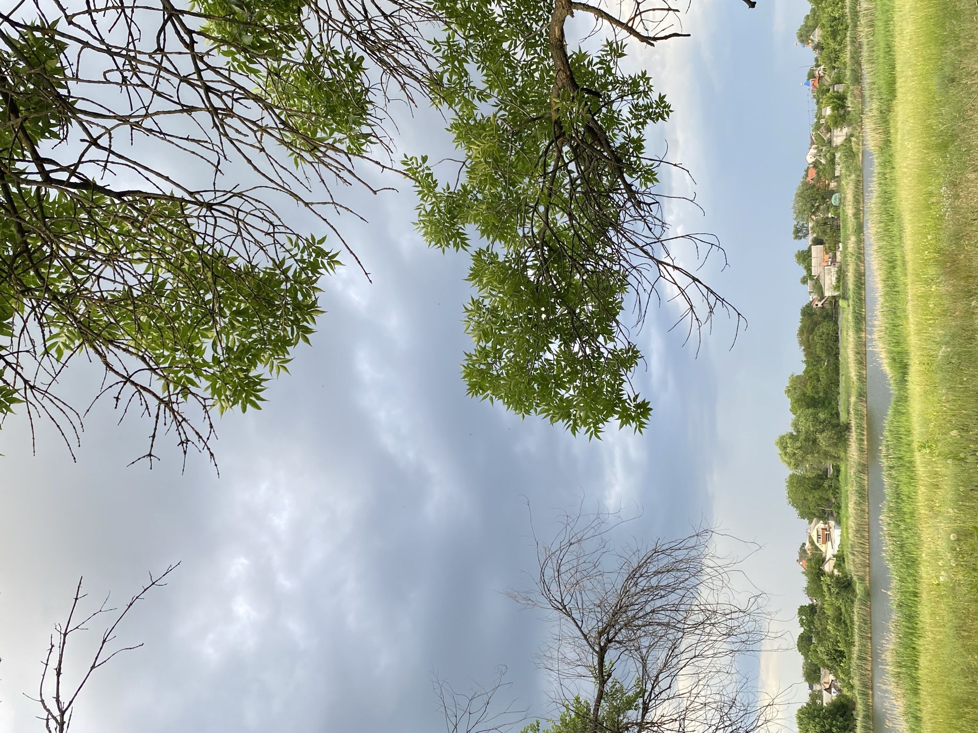 This is a vertical, eye-level, medium shot of a landscape scene. The photo is dominated by a cloudy sky, with some patches of lighter blue peeking through. In the foreground, the branches of two trees are visible, one with green leaves and the other bare and skeletal.
The middle ground of the image features a body of water, possibly a river or lake, bordered by tall green reeds on one side and a grassy embankment on the other. Beyond the water, a village or town is nestled amongst lush green trees. The houses appear to be of various sizes and architectural styles, with some featuring pitched roofs.
The overall impression is one of a rural or semi-rural setting, likely in the daytime given the brightness of the sky. The presence of clouds suggests potentially changeable weather. There is no discernible activity or event taking place, and no visible text. The scene evokes a sense of calm and natural beauty.
