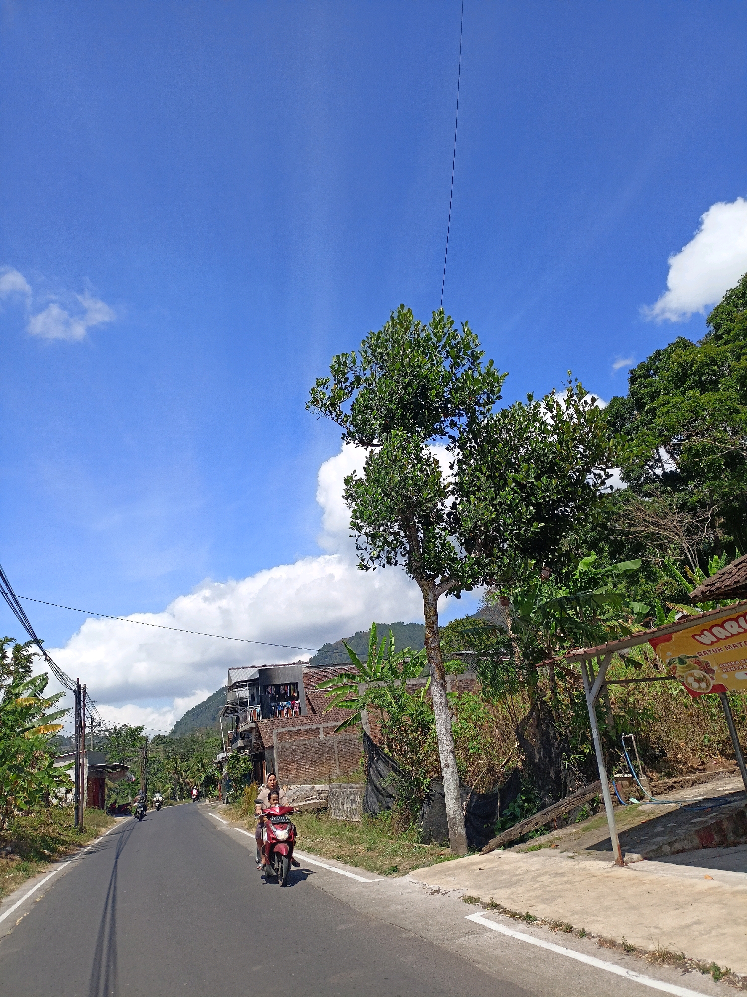 The image depicts a rural scene on a sunny day in Windusari, Indonesia. A paved road runs through the center of the frame, curving slightly to the left. On the road, a red scooter is carrying two people, a woman driving and a child as a passenger. Another scooter is visible further up the road.
The environment is characterized by lush green vegetation, including trees and banana plants, flanking the road. In the background, there are buildings with brick walls and tile roofs, typical of Indonesian architecture. A gentle slope of a hill is visible behind the buildings, covered in trees. The sky is a vibrant blue with scattered white clouds. A tall, thin utility pole with wires extends vertically through the sky. On the right side of the road, there is a small roadside stand with a yellow and red sign, partially visible. The overall impression is one of a typical day in a semi-rural or suburban area of Indonesia.
