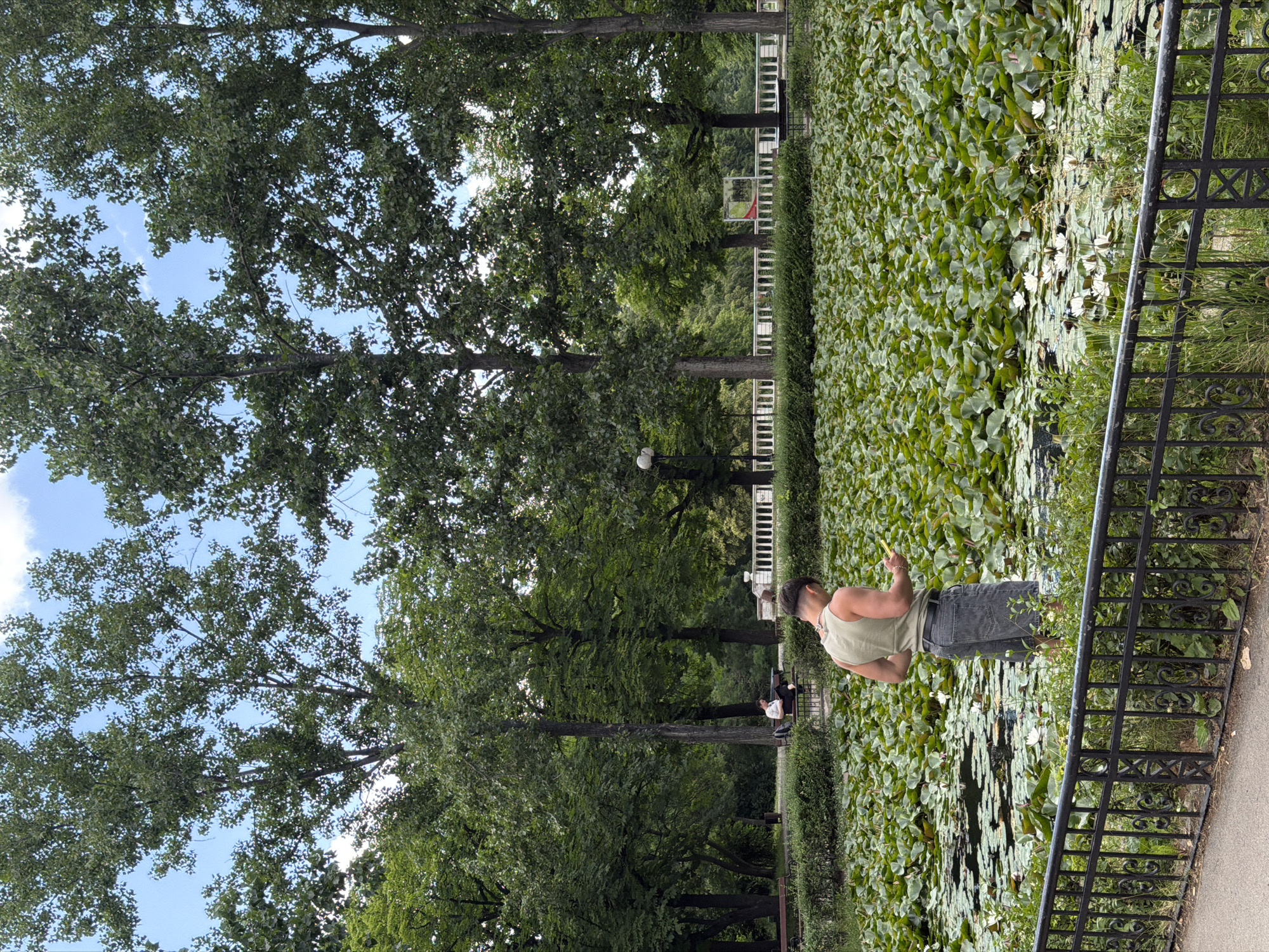 The image depicts a man standing by a pond filled with lily pads in a park, likely in Sofia, Bulgaria, given the context. The man, seen from the back, is wearing a light green tank top and grey denim shorts. He is looking down at a yellow object in his hands, possibly a phone or a small tool.
The pond occupies the majority of the foreground and midground, densely covered with large, green lily pads and interspersed with white water lilies. Behind the pond, a black wrought-iron fence separates the viewer from the water. Further back, a manicured hedge runs along the edge of the pond area.
In the background, there are several tall trees with lush green foliage, suggesting a warm season. A white decorative railing with pillars is visible in the distance, with a white lamppost to its left. A few people are seated on a bench in the mid-background, further away from the pond. The sky above is a clear blue with some scattered clouds. The overall scene conveys a peaceful, natural setting within an urban park.