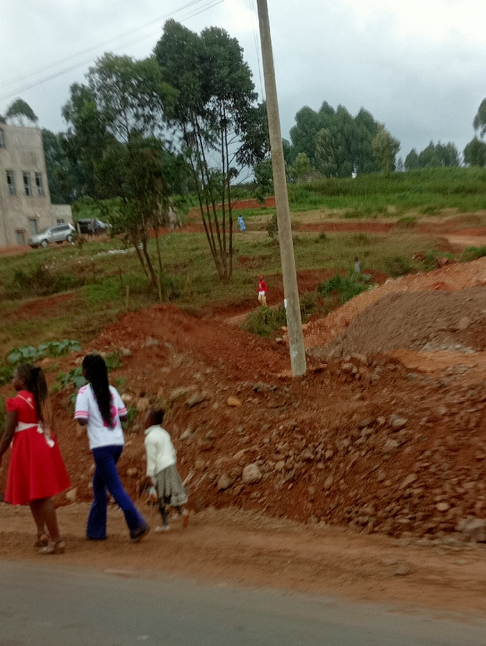 This daytime image, set in Karatina, Kenya, captures a semi-rural or developing landscape under an overcast sky. In the foreground, three young girls walk along a dark-colored road or path, moving from left to right. The girl on the left wears a bright red dress with a white sash, the middle girl has long dark hair and is dressed in a white t-shirt and blue bell-bottom pants, and the smallest girl behind her wears a light-colored top and a patterned skirt.
To the right of the girls, the terrain rises sharply, consisting of mounds of distinctive reddish-brown soil and rocks, indicative of excavation or natural earth. This reddish soil continues throughout the mid-ground, crisscrossed by dirt paths. Several green trees, some tall and thin, are scattered across the landscape. Further back, two other individuals are visible: one person in a red shirt walks on a lower dirt path, and another in a light blue outfit is seen walking on a higher path amidst green vegetation.
On the far left in the background, a multi-story, gray building, possibly under construction or weathered, is partially visible, with a silver SUV and another vehicle parked nearby. The backdrop features more dense green trees and undulating hills under the cloudy sky. A prominent gray utility pole stands on the right side of the image, with power lines extending across the top. The scene depicts everyday life and movement within an environment characterized by a mix of natural greenery and human alteration of the landscape. No visible text is legible.