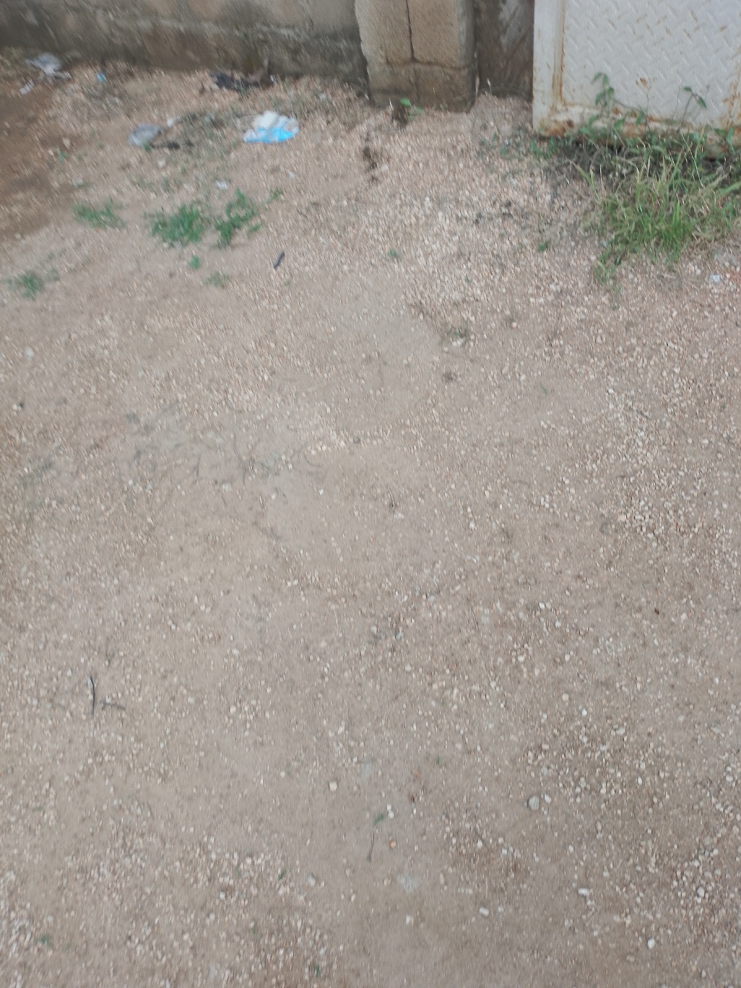 An outdoor scene shows a patch of dirt and gravel ground. In the upper left corner, a concrete wall is visible, with some pieces of trash scattered on the ground in front of it. Further to the right, a corner of a metal structure is visible, also with some green weeds growing around it. The ground itself is composed of sandy soil mixed with small pebbles. The overall impression is one of an unkempt, outdoor area.