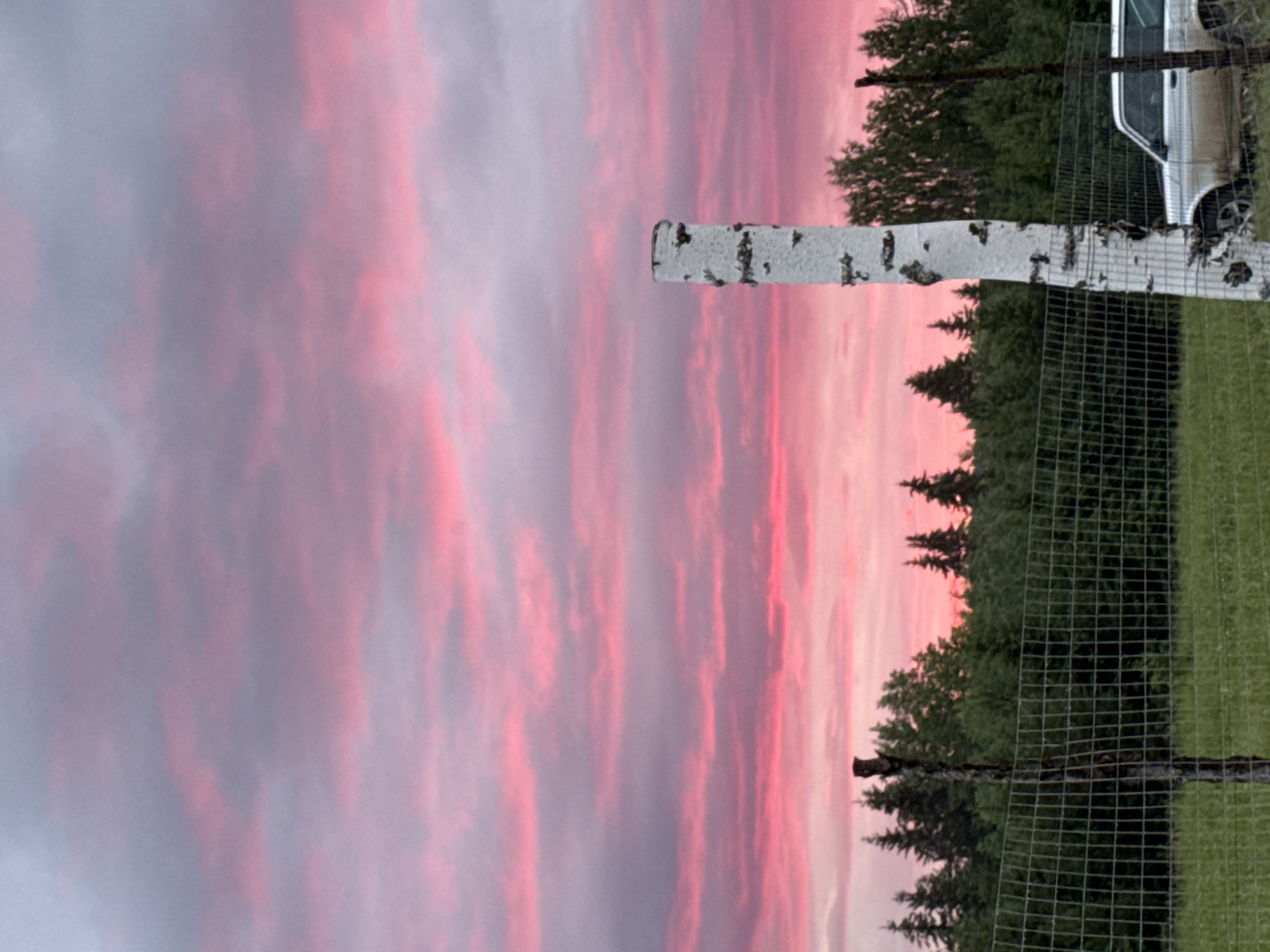 The image depicts a rural landscape during a vibrant pink and purple sunset or sunrise in Большая Кивара, Russia. The upper two-thirds of the frame are dominated by a sky filled with layered clouds, illuminated in intense pink, magenta, and light purple hues, with the brightest pink concentrated near the horizon. Below the sky, a dense treeline of dark green coniferous and some deciduous trees forms the immediate background. In the mid-ground, a dark wire mesh fence extends horizontally across the frame. Two prominent fence posts are visible: a dark, weathered wooden post on the left and a distinctive white birch tree trunk with peeling bark standing centrally on the right. Behind the fence, a light-colored, possibly white or light grey, station wagon or SUV is partially visible, parked in a grassy field to the right of the birch post, with only its rear section and wheel discernible. The foreground consists of green grass. No individuals or animals are present.