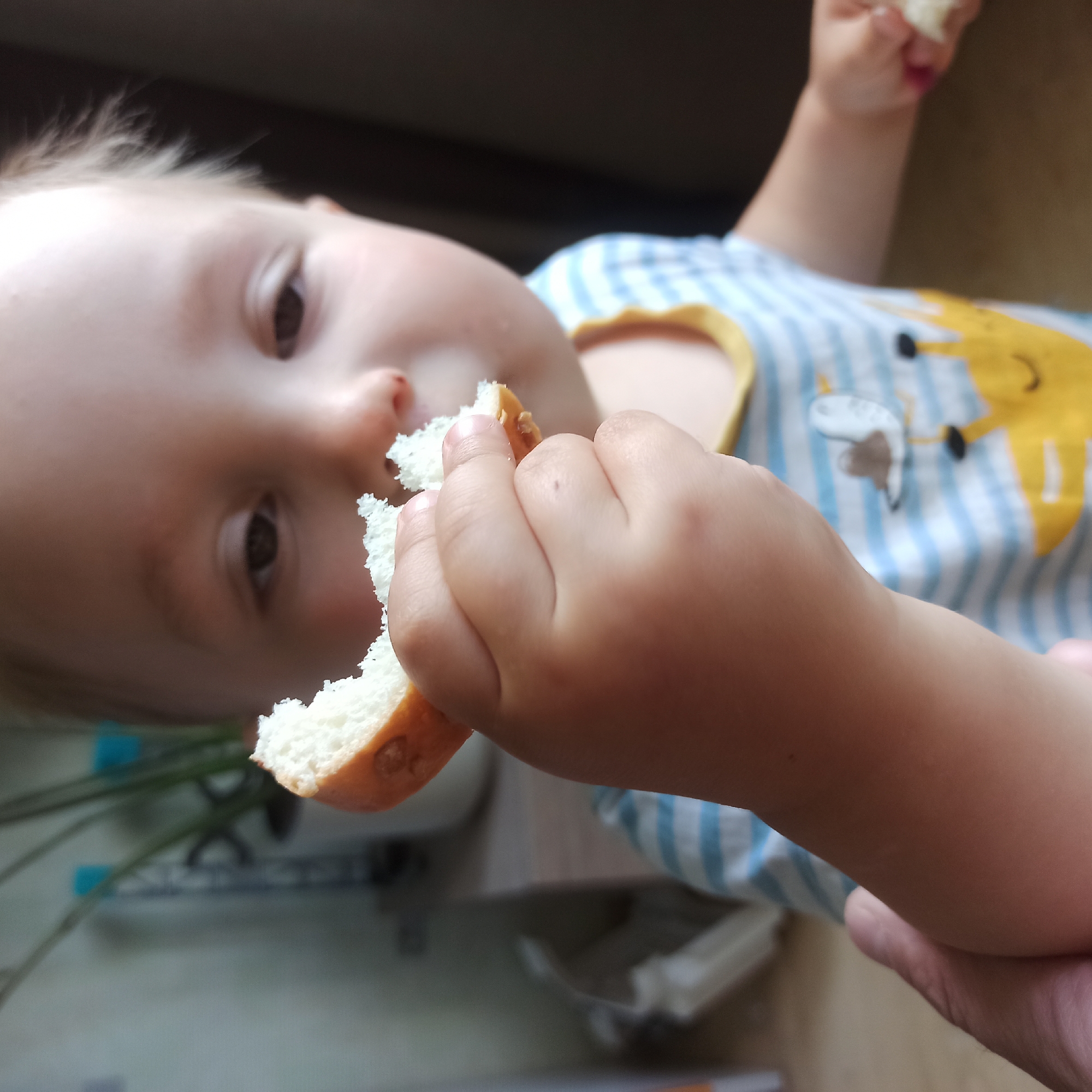 A close-up, slightly blurry shot captures a toddler's hand holding a piece of bread near their mouth. The toddler is wearing a light blue and white striped shirt with a yellow collar, adorned with a yellow giraffe print. The background is indistinct, featuring a blurred wall, a potted plant with green leaves and blue accents, and a darker area that appears to be a window or wall. An adult's hand is partially visible at the bottom left of the frame. The scene is indoors and appears to be in a domestic setting. There is no information in the image to determine the specific location in Nizhny Novgorod, Russia.
