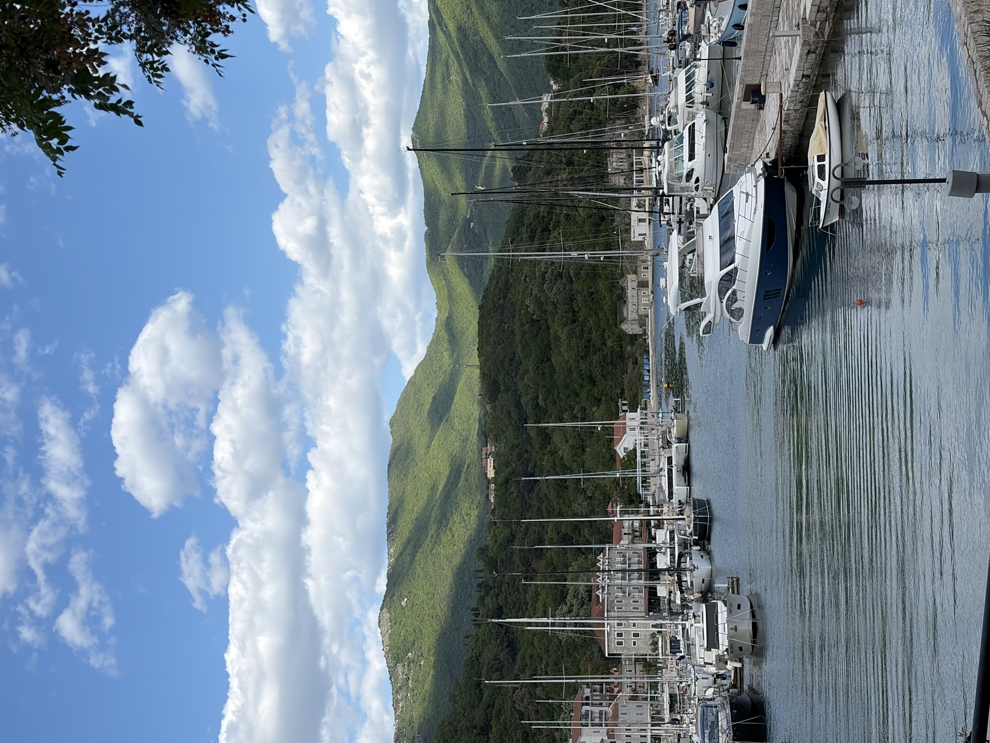 The image captures a view of a marina in Meljine, Montenegro. Several boats of varying sizes are docked along the waterfront, including yachts and smaller vessels. Mountains covered in dense green vegetation serve as a backdrop to the marina, and buildings are nestled among the trees on the lower slopes. The sky is blue with scattered white clouds. The water in the marina is calm and reflects the boats and sky. Part of the sky and leaves of a tree are also visible in the top left corner of the image.