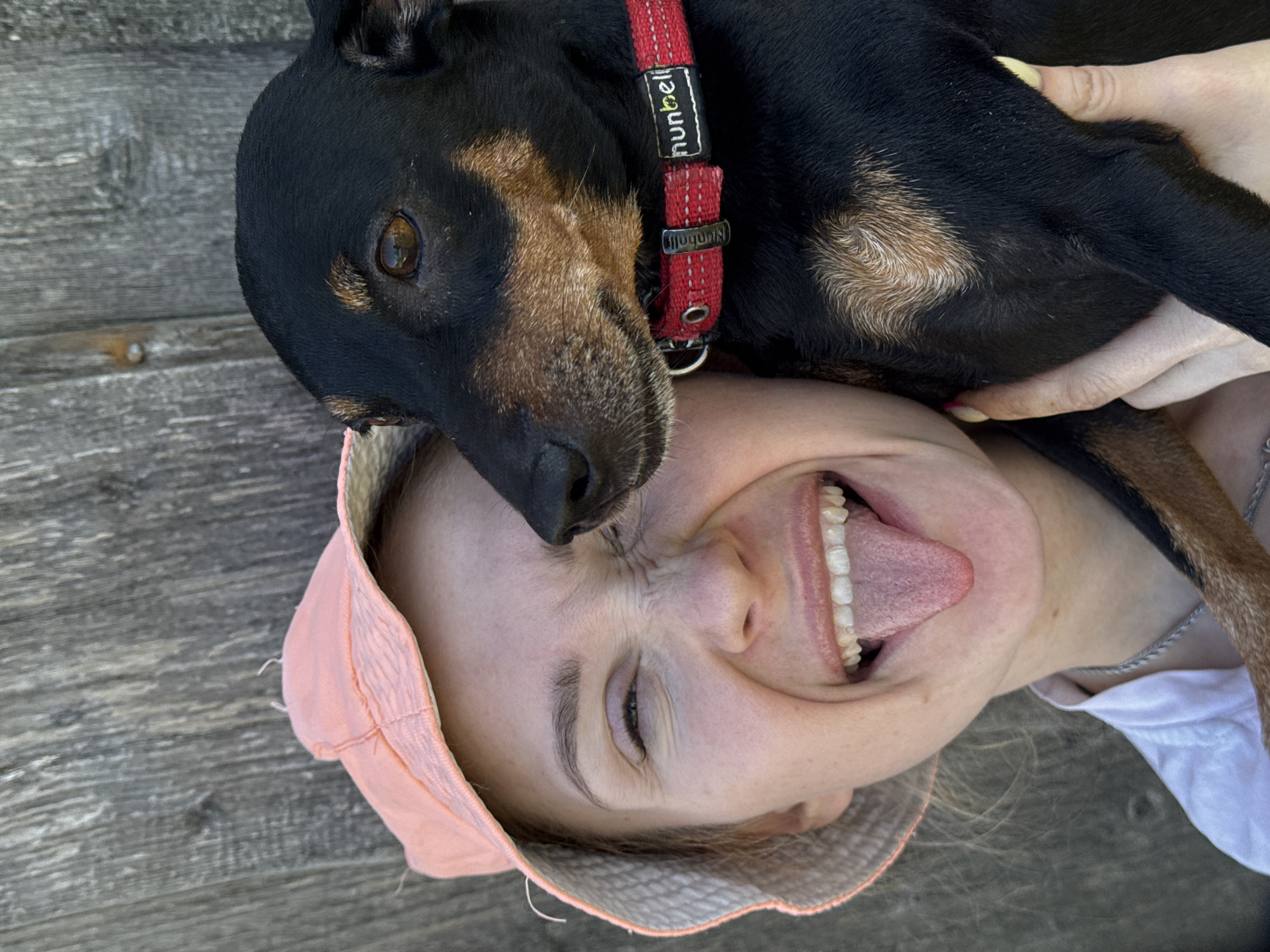 A photograph depicts a woman and a dog. The woman is lying on what appears to be a wooden surface, possibly a deck or weathered planks. She is wearing a light pink bucket hat and a white t-shirt. She is sticking her tongue out and distorting her face. A black and tan dog is lying on top of her, its head resting near her forehead. The dog is wearing a red collar with the word "hunbell" printed on it. The location, Nizhnyaya Chermoda, Russia, is not verifiable from the provided image.