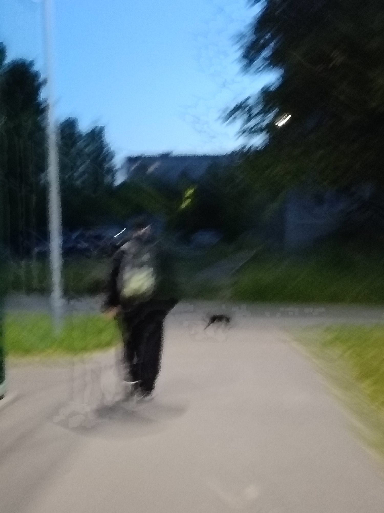 The image depicts an outdoor scene at dusk or dawn, likely in a park or a residential area in Sudogda, Russia. A person, appearing to be an adult male, is walking on a paved path, possibly a sidewalk or a pedestrian walkway. He is wearing dark clothing and a backpack, which has a lighter colored pattern on it. His movement is blurred, suggesting he is in motion. To his right, a small animal, possibly a dog, is visible on the path, also blurred. The background shows a line of trees and some low-rise buildings. A vertical pole, likely a lamppost or utility pole, is present on the left side of the image. The sky is a pale blue, indicating twilight conditions. The overall scene is characterized by motion blur, giving it a dynamic and somewhat indistinct quality.