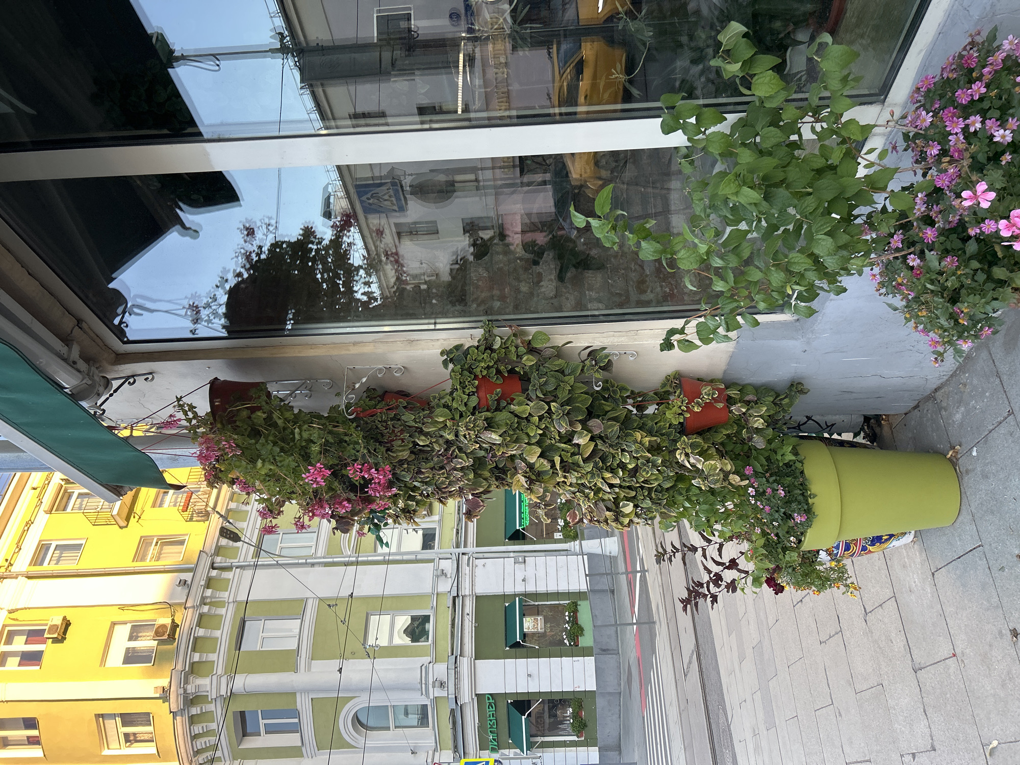 In the city of Unknown, Unknown, on a paved sidewalk, a bright green large planter holds a variety of plants. The planter is positioned to the right of the frame, with a section of a building with a textured gray wall adjacent to it. A cascade of green vines with variegated leaves and small pink flowers spills from multiple red pots attached to the building's facade, positioned above the large planter. To the left of the large planter, another patterned planter is visible. Beyond the sidewalk, a crosswalk with white and red markings is present, with tram tracks running across it. Further left, a building with light green and white architectural details and arched windows is visible, bathed in warm sunlight. A green awning extends from the building. In the reflection of the building's window, a yellow car and other urban elements can be seen.