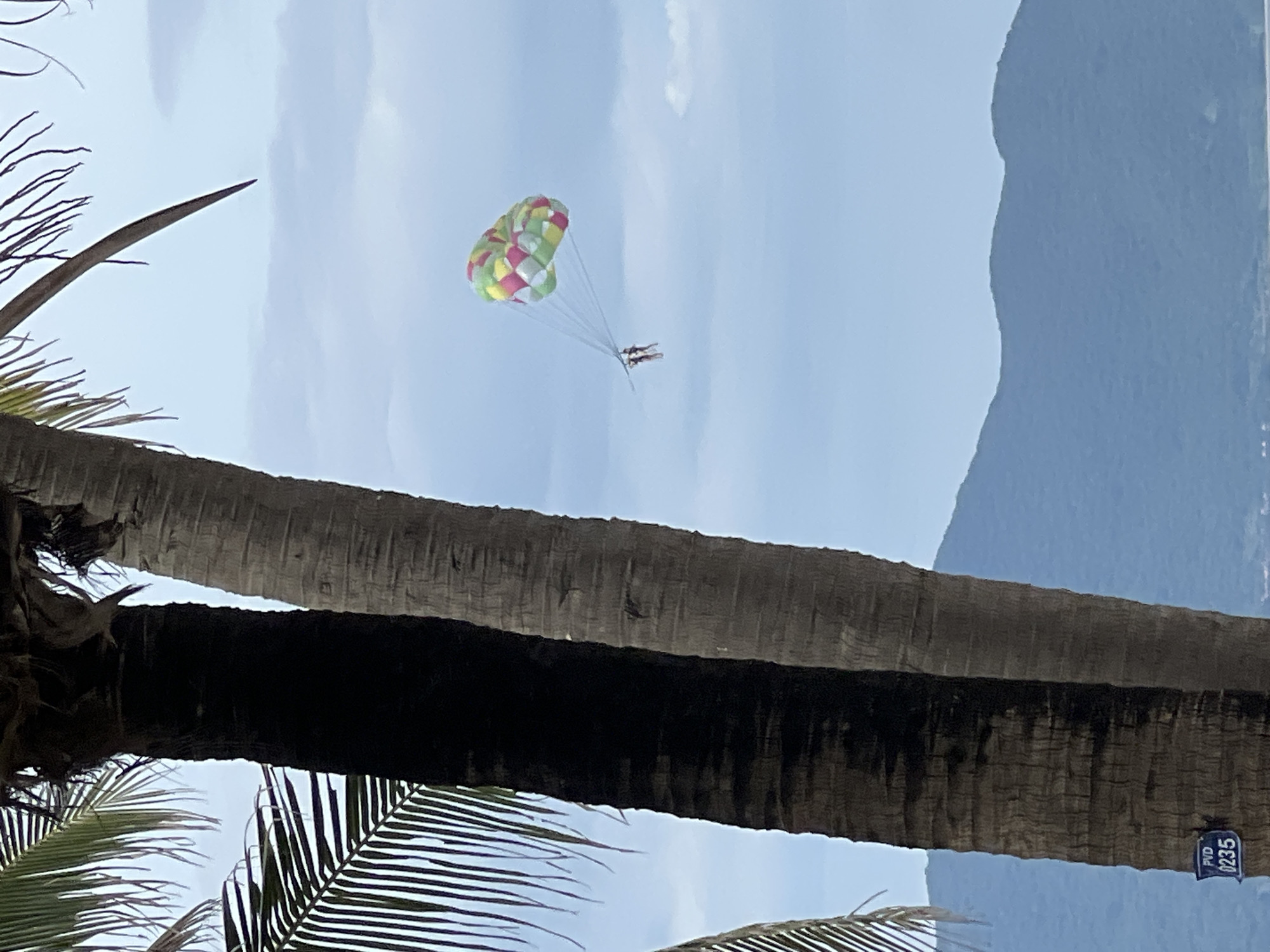 The image depicts a serene tropical scene with two individuals parasailing against a backdrop of lush green mountains and a hazy sky. The parasail, adorned with a vibrant patchwork of red, green, and yellow squares, soars gracefully above the water. In the foreground, two large palm trees stand tall, their textured trunks and feathery fronds framing the parasailing activity. The right palm tree has a blue plaque with the white text "PVD 0235" attached to it. The mountains in the distance appear soft and muted, suggesting a humid atmosphere. The overall impression is one of a leisurely day at the beach, with the parasailing offering a touch of adventure to the tranquil landscape. This scene is likely captured in Đà Nẵng, Vietnam, a city renowned for its beautiful beaches and opportunities for water sports.