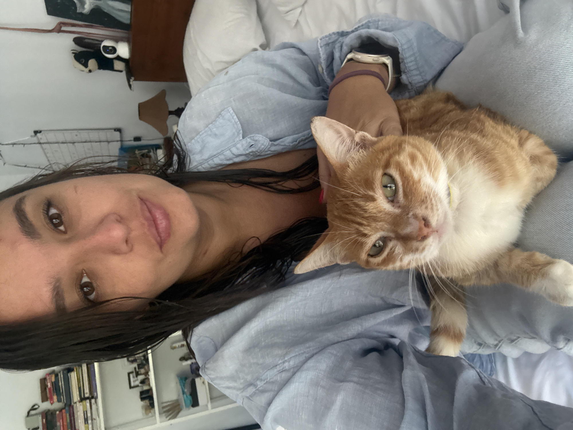 A woman is holding a ginger and white cat. The woman has long, dark, wet hair and is wearing a light blue button-down shirt. She is wearing a watch on her left wrist. The cat is looking at the camera. In the background is a bed with white sheets and a nightstand with a lamp. There is a bookshelf in the background with books and decorative items. The location cannot be determined from the image.