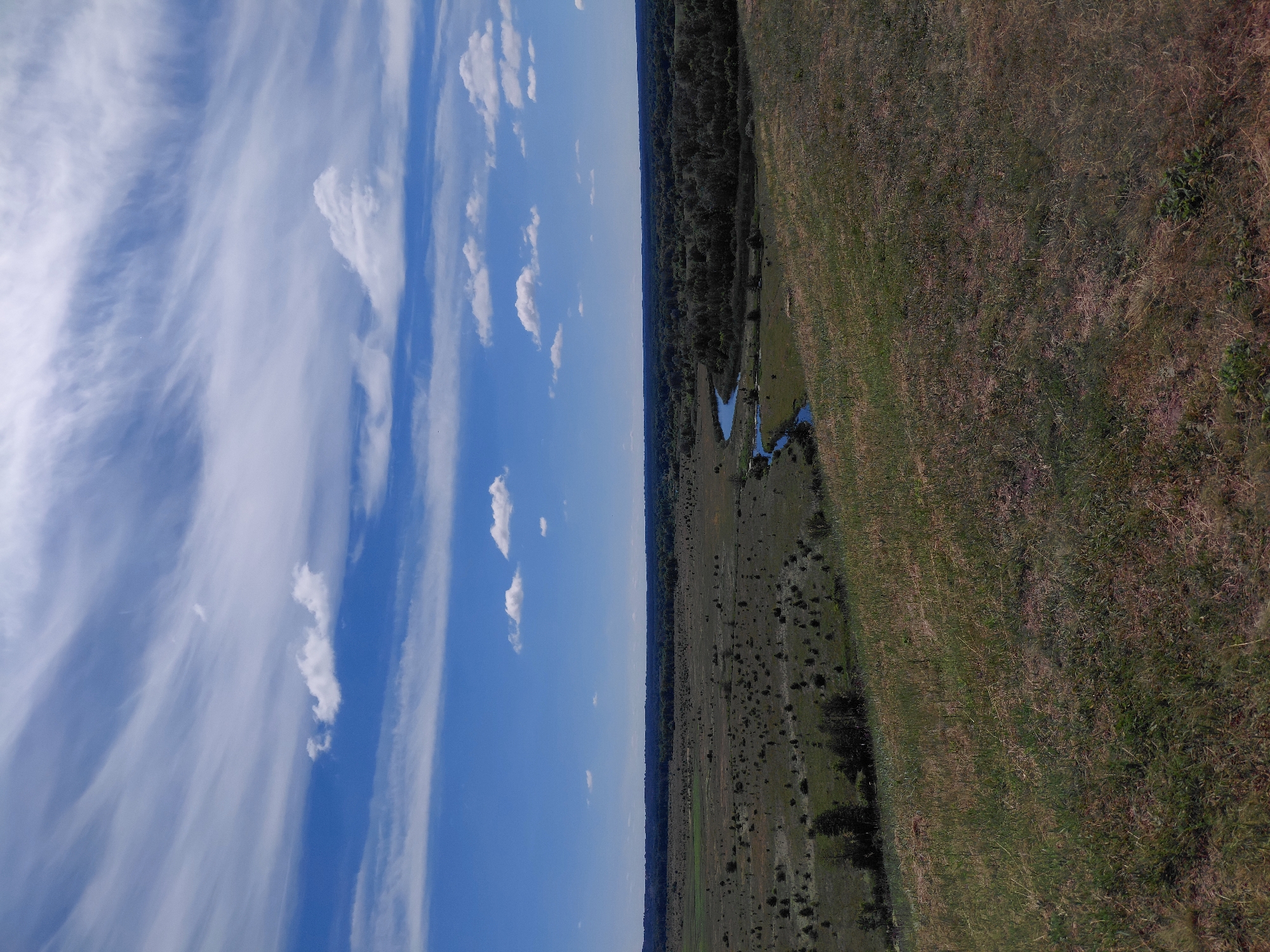 The image depicts a panoramic view of a rural landscape in Ustyvytsia, Ukraine, under a vast blue sky filled with wispy white clouds. In the foreground, a grassy slope leads down towards a wide, flat expanse of land dotted with scattered bushes and trees. A winding blue river meanders through the middle ground, bordered by a dense forest that stretches to the horizon. The overall impression is one of natural beauty and tranquility, with no human presence or activity visible.