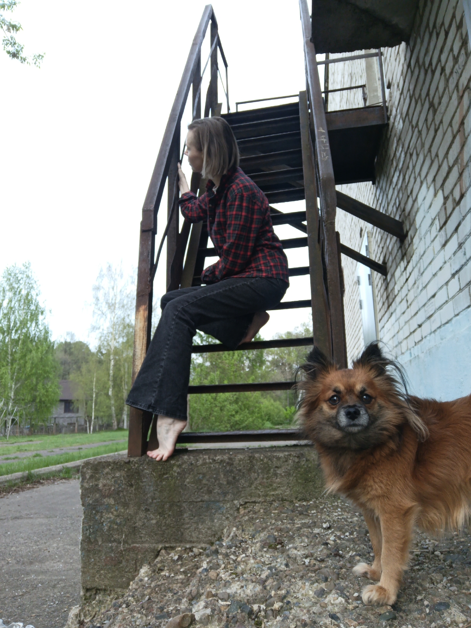 A medium shot captures a scene in Chaikovsky, Russia. A young woman with shoulder-length brown hair sits barefoot on a rusty metal staircase attached to a two-story brick building, wearing a red and black plaid shirt and dark-colored jeans. She appears to be looking out at the greenery in the background. A brown dog stands in the foreground, looking directly at the camera. The ground around the base of the staircase is a mix of concrete and gravel. In the distance, trees and a house can be seen.
